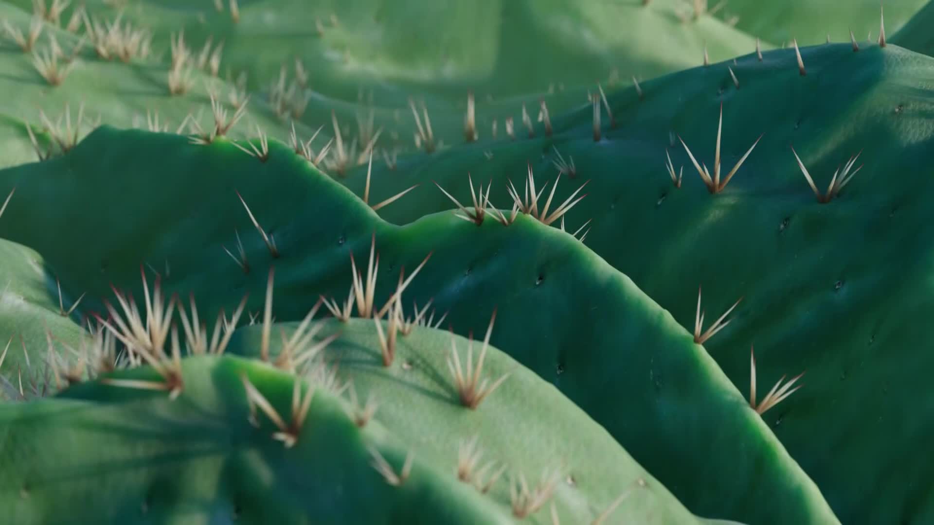 ViasatNature