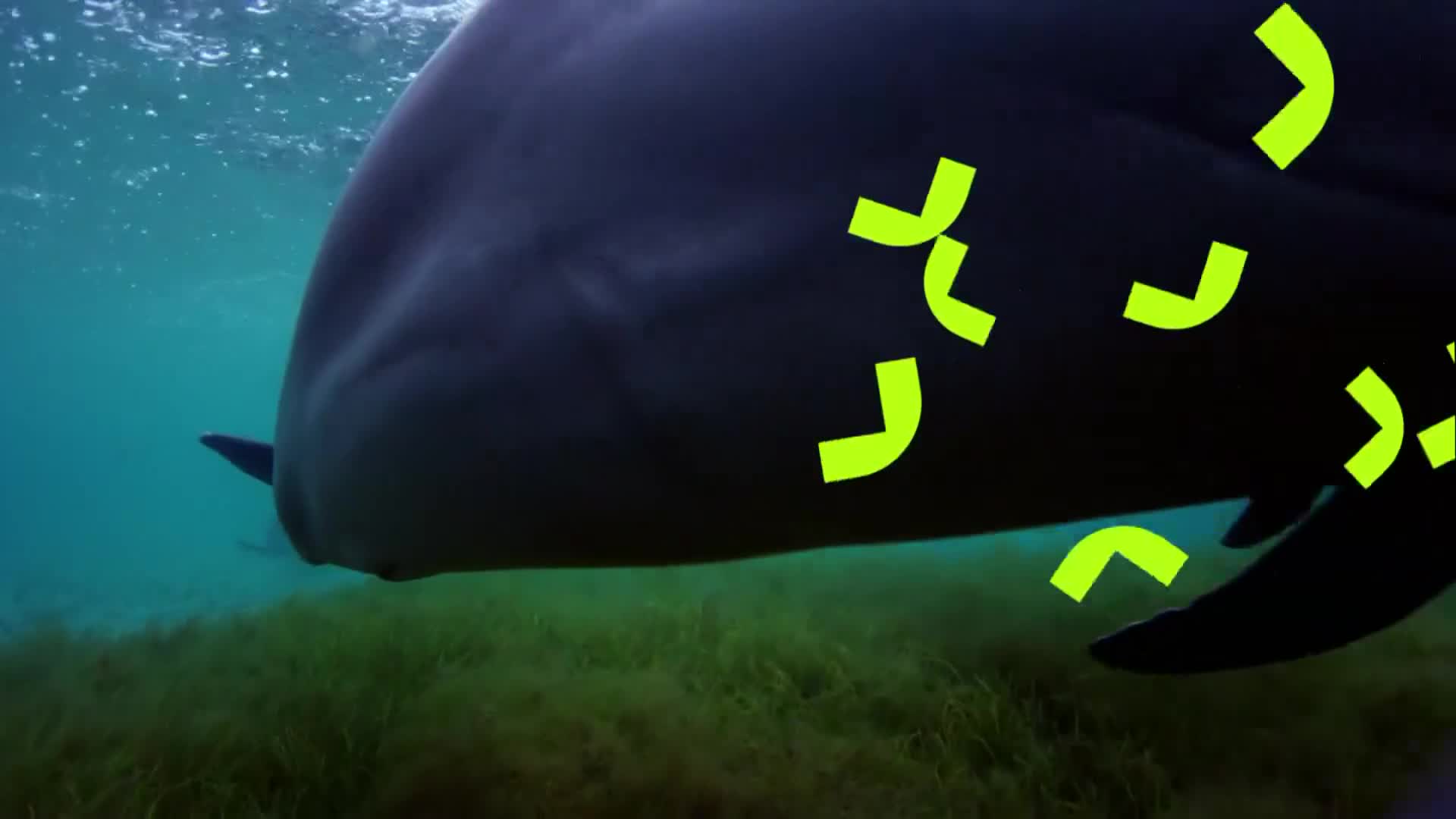 ViasatNature