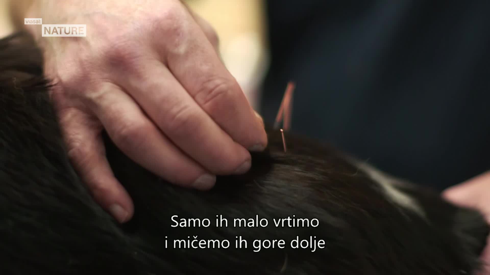 ViasatNature