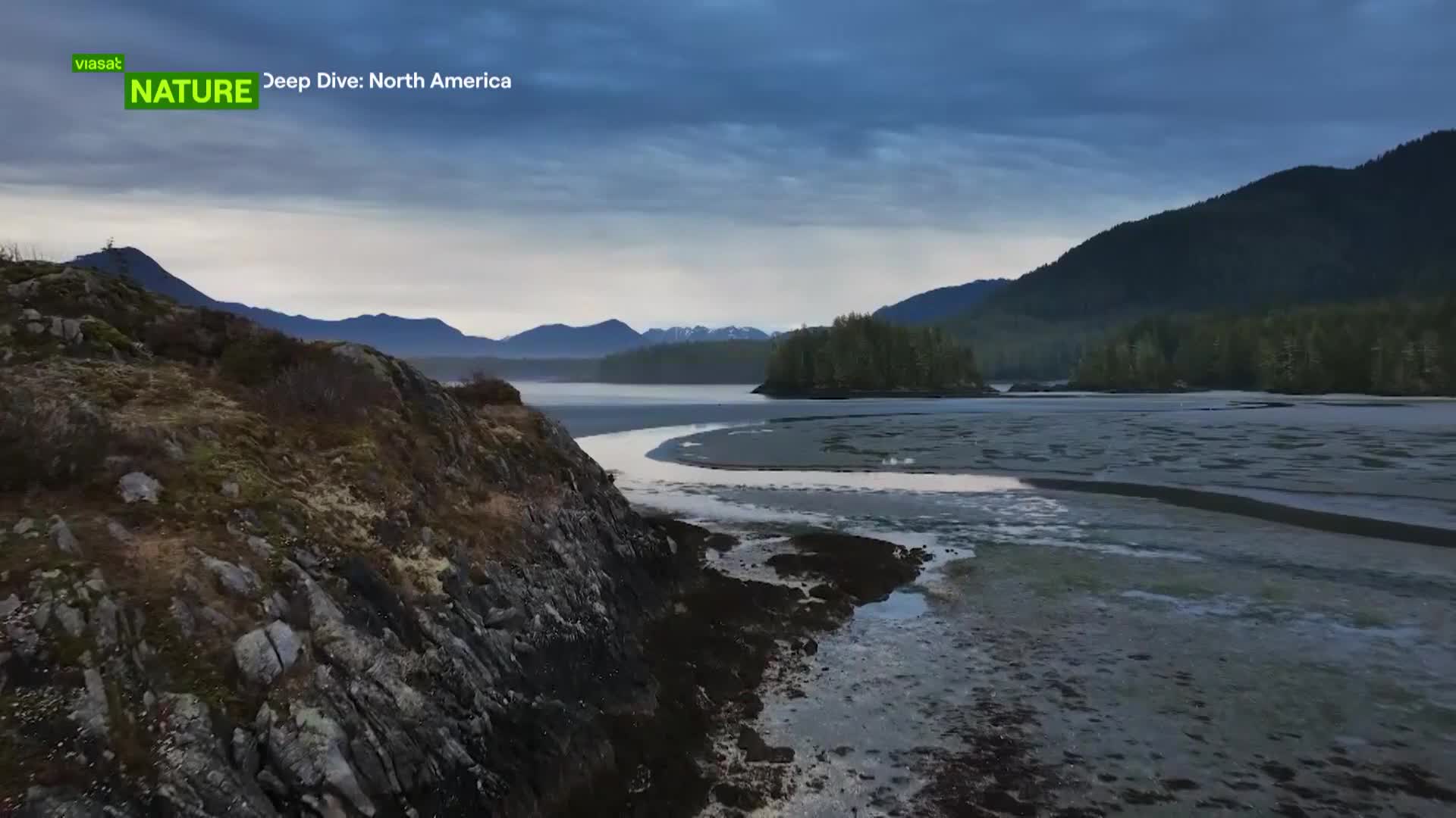 ViasatNature
