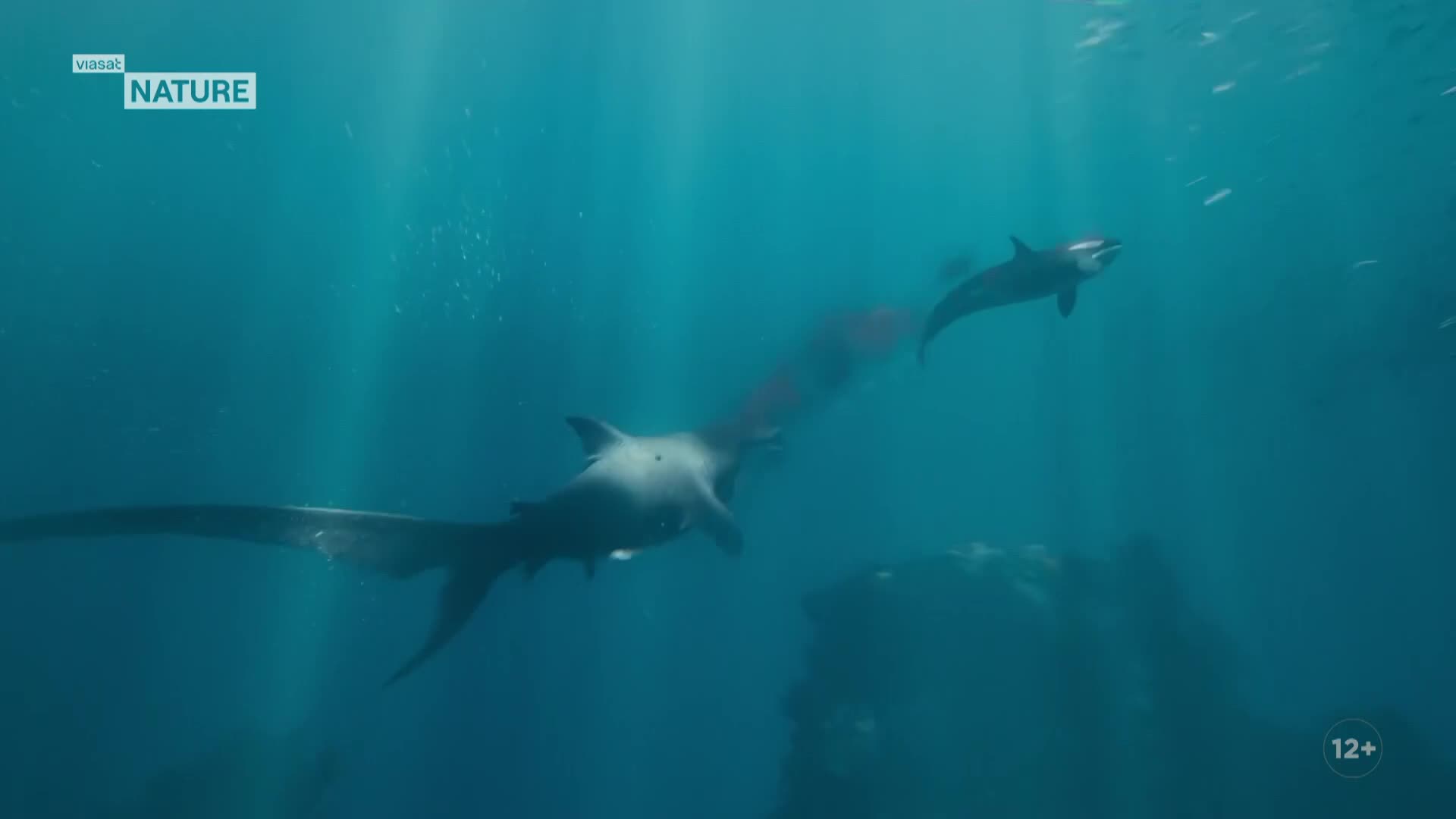 ViasatNature