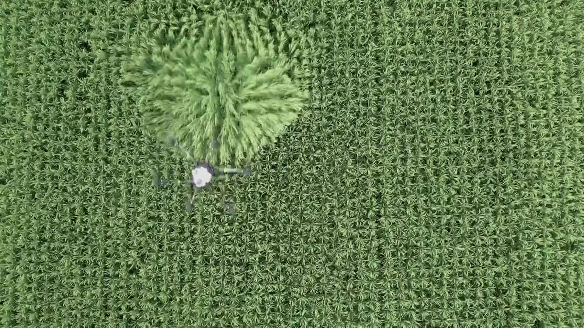 BBCEarth