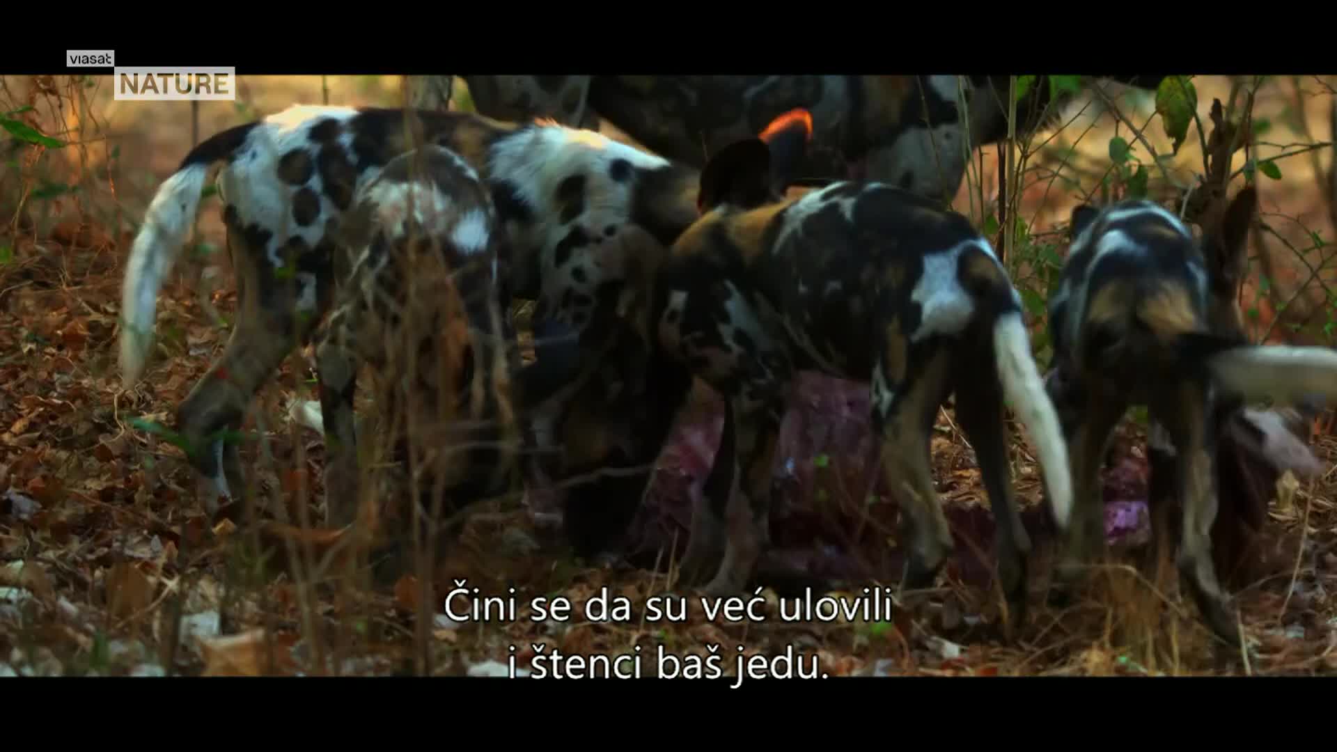 ViasatNature