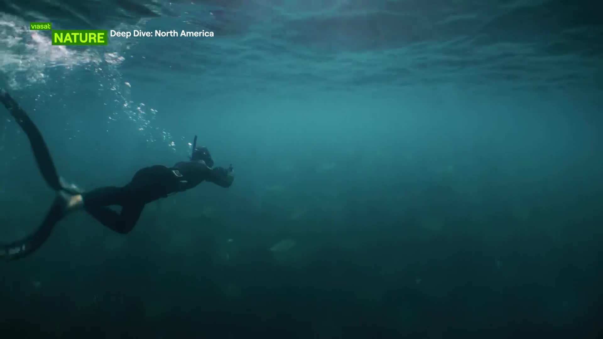 ViasatNature