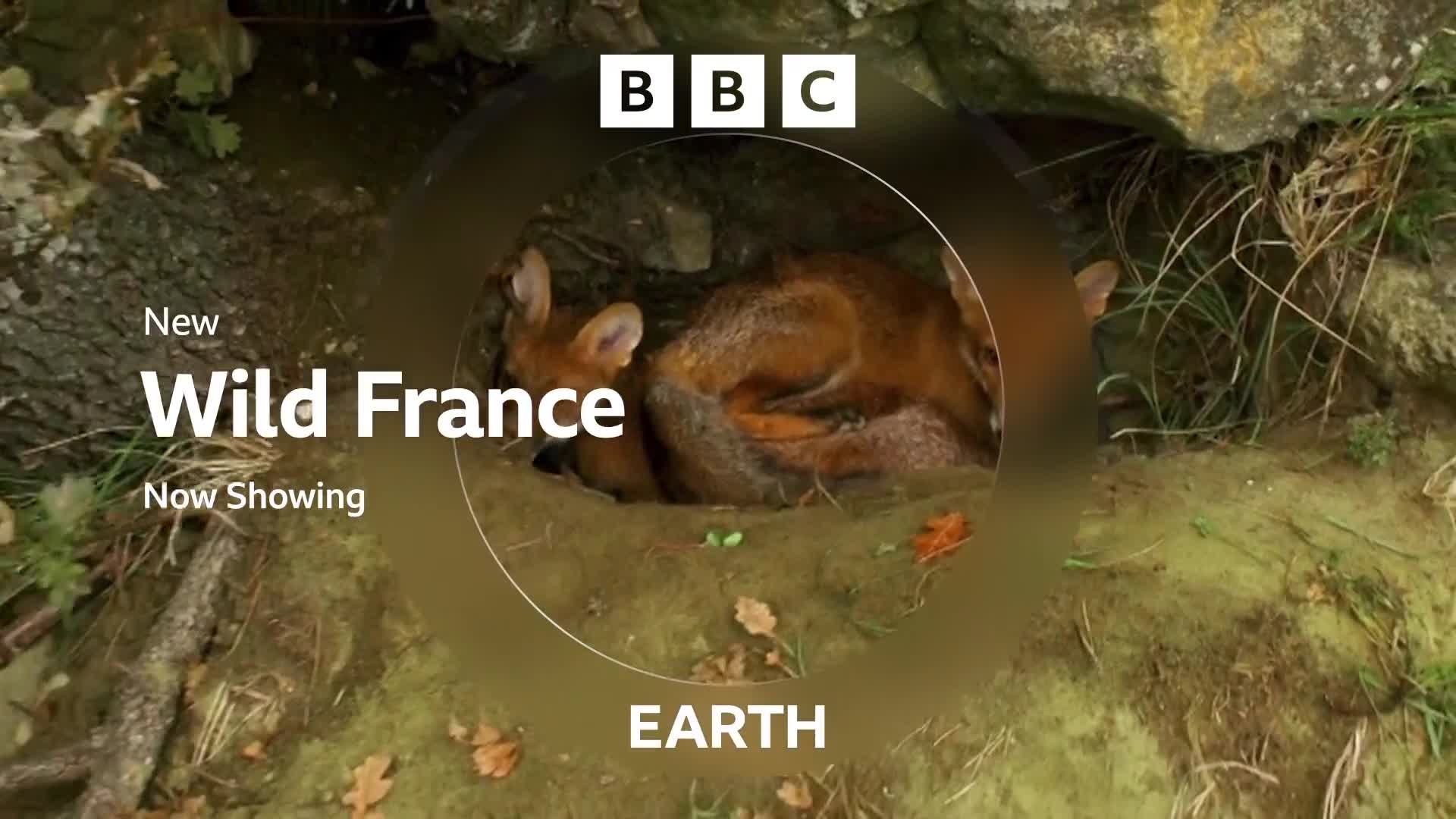 BBCEarth