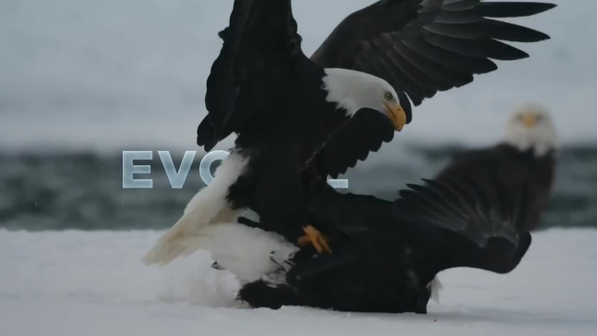 ViasatNature