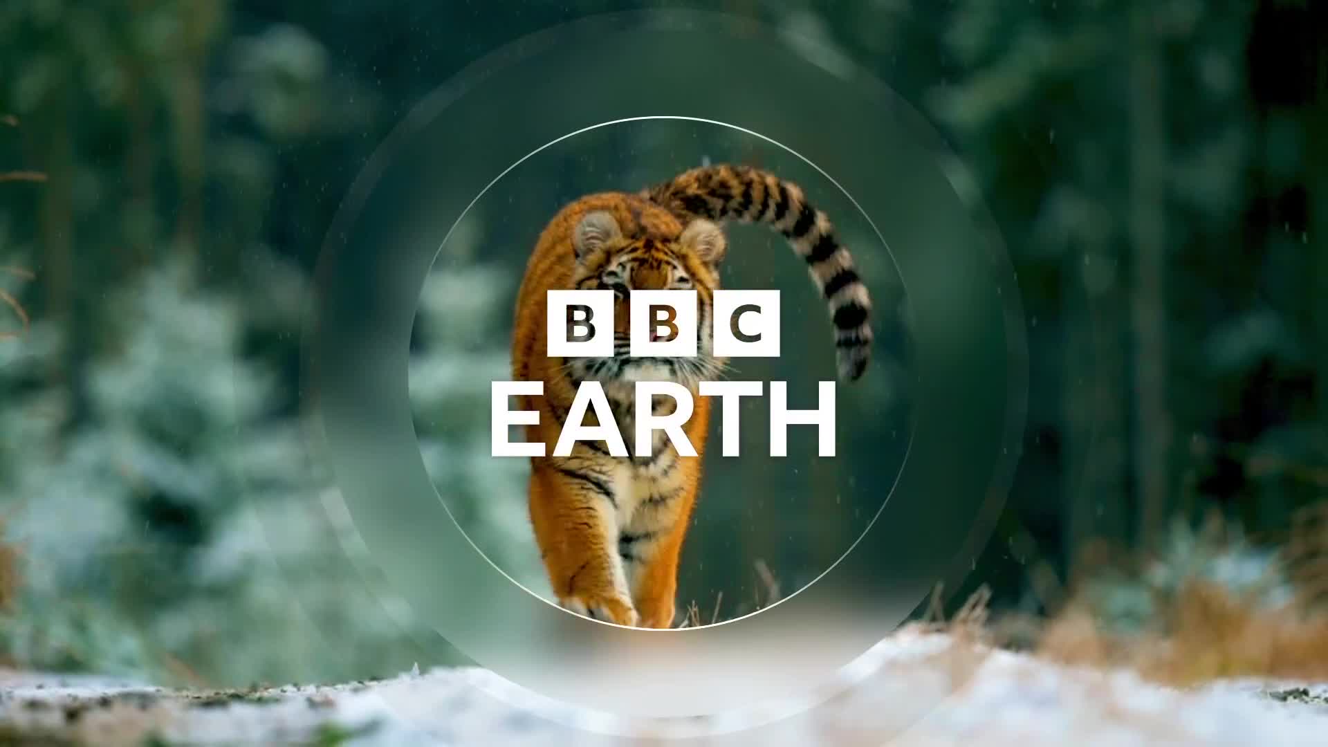 BBCEarth