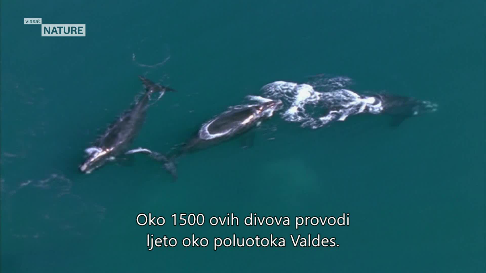 ViasatNature
