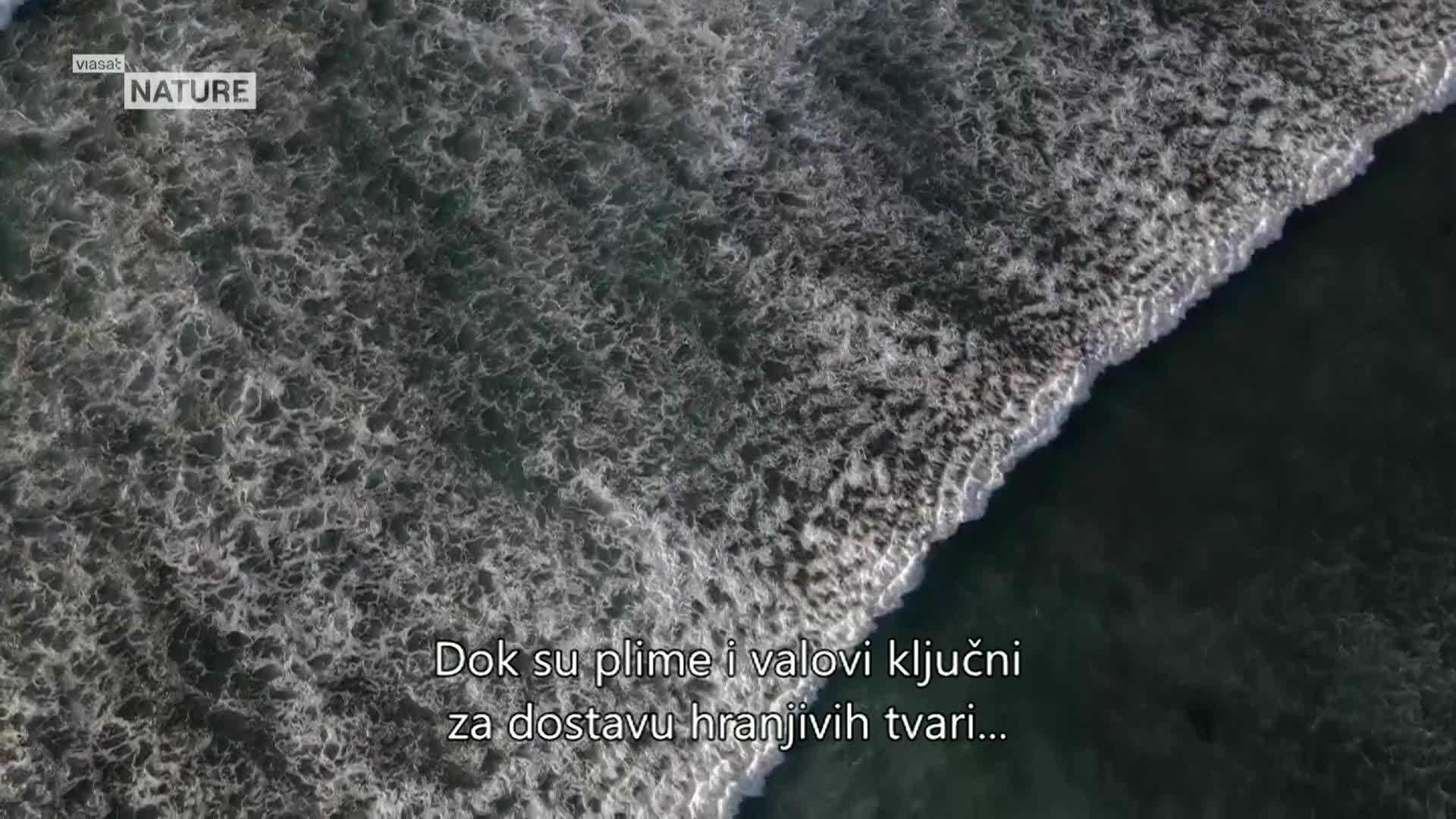 ViasatNature