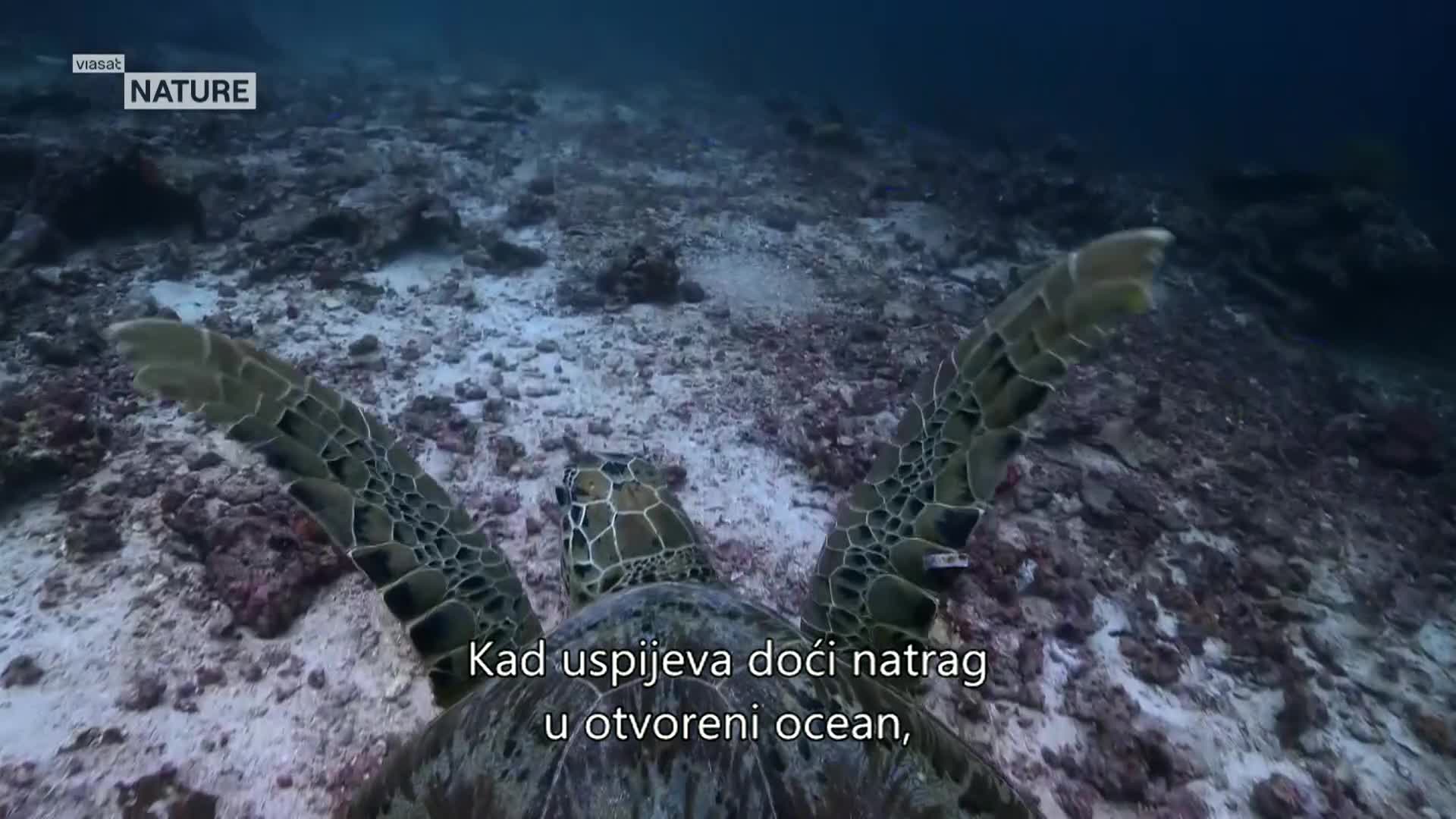 ViasatNature
