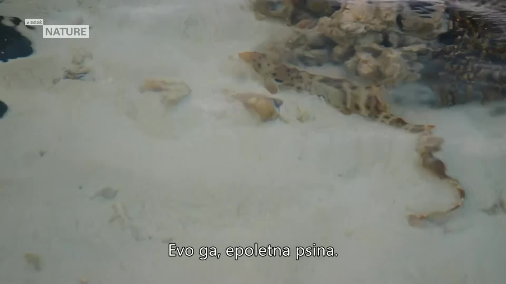 ViasatNature