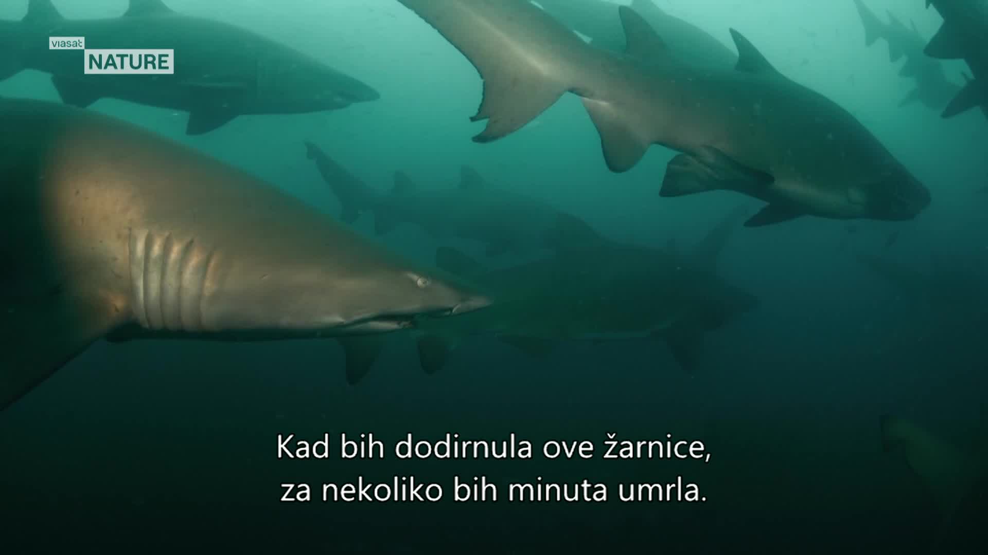 ViasatNature