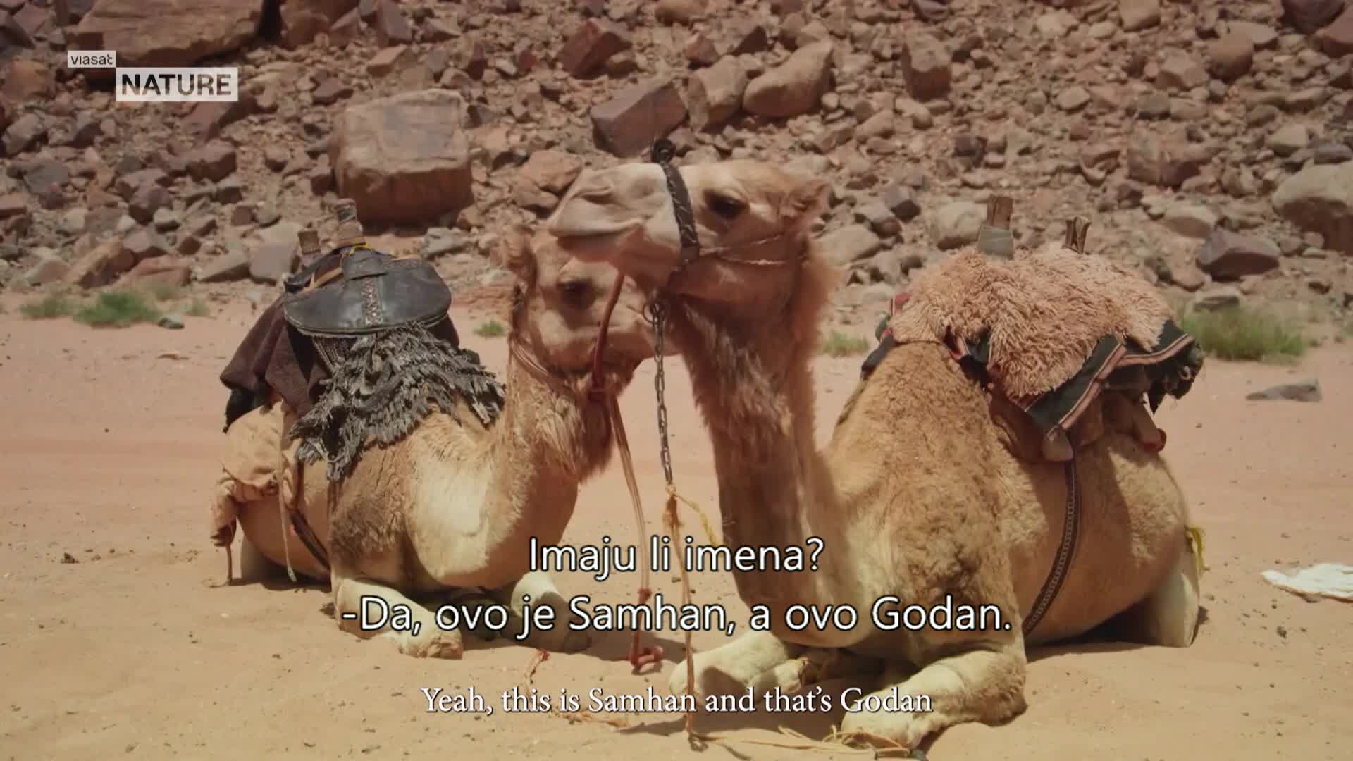 ViasatNature