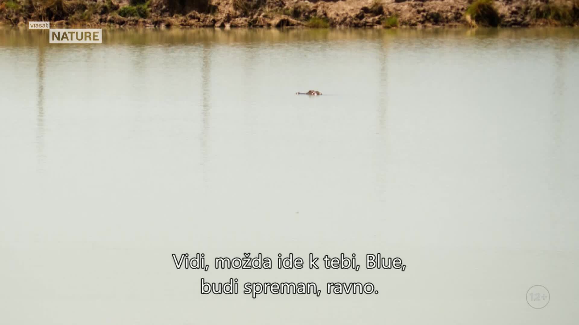 ViasatNature