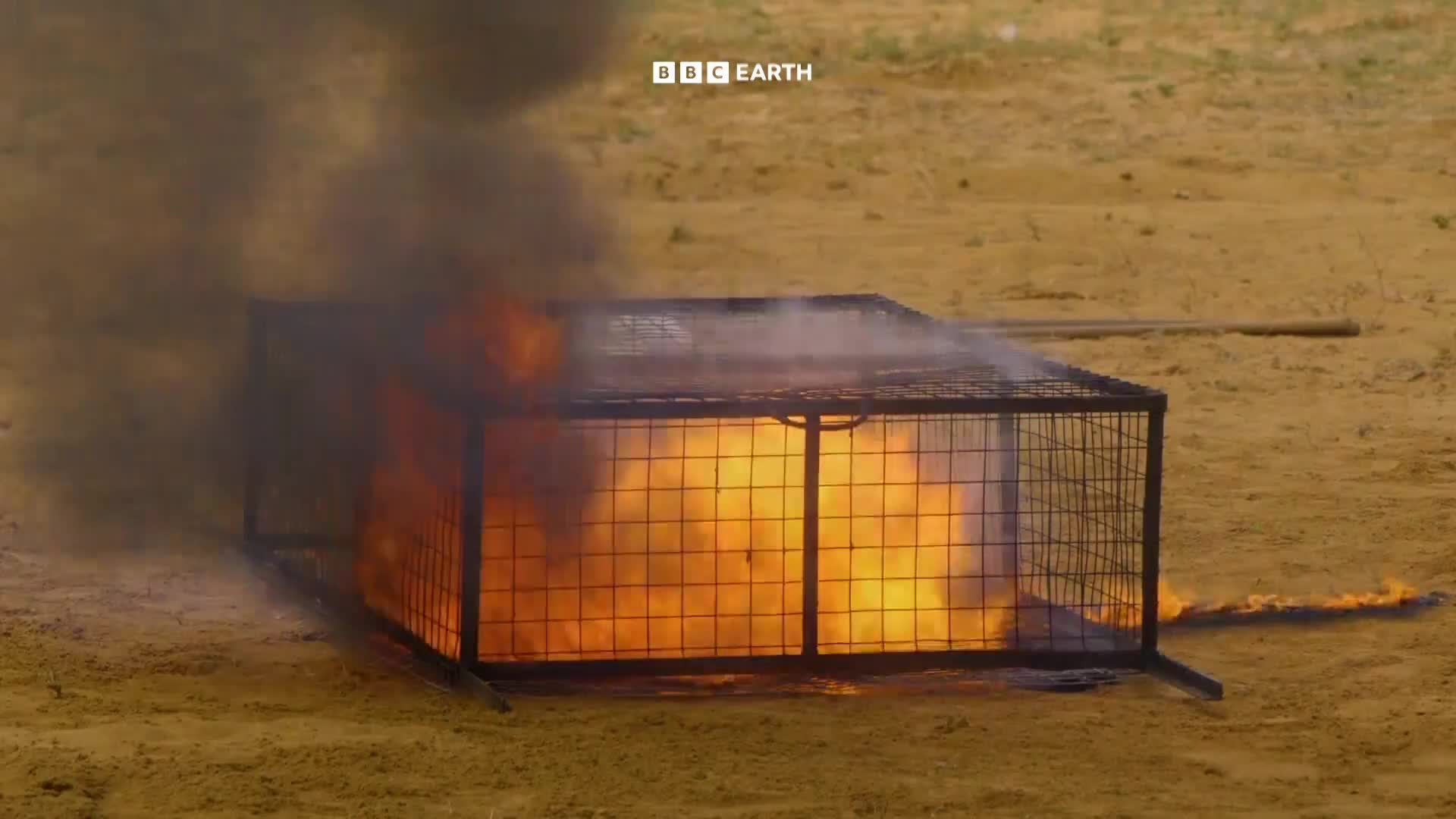 BBCEarth