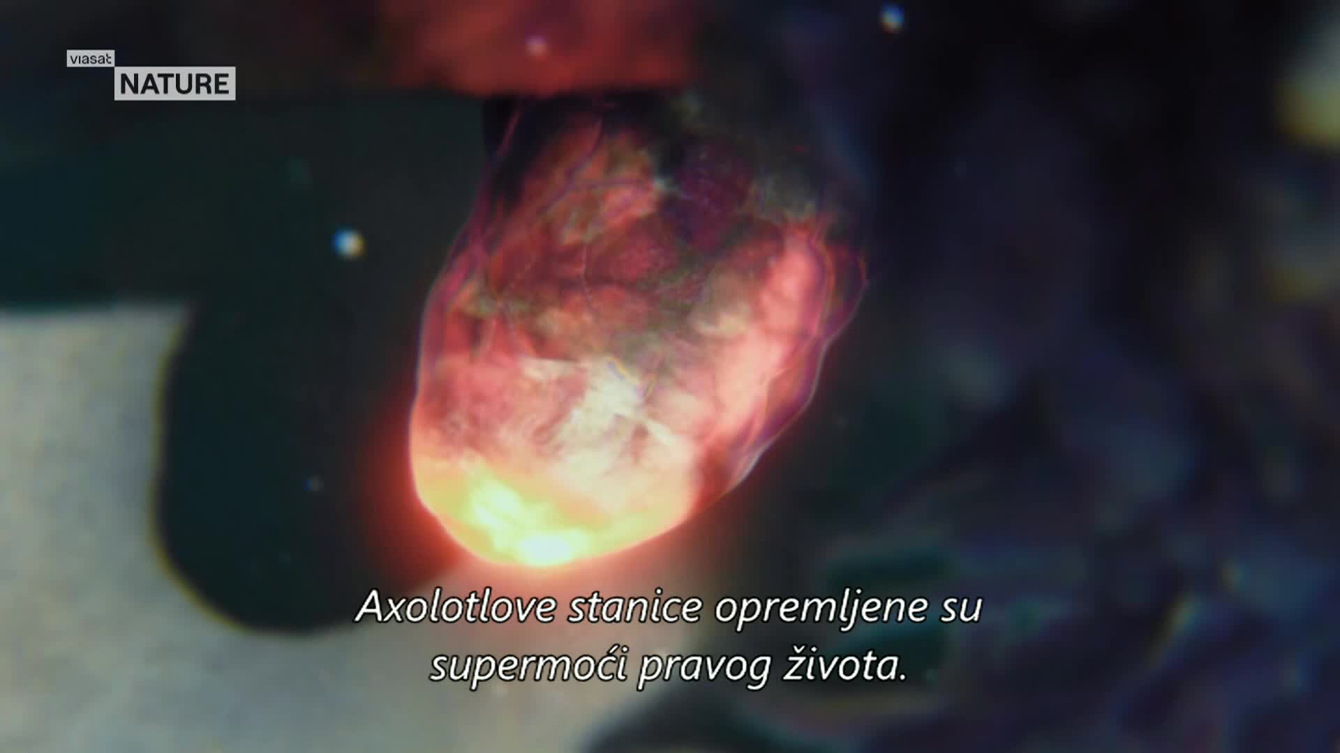 ViasatNature