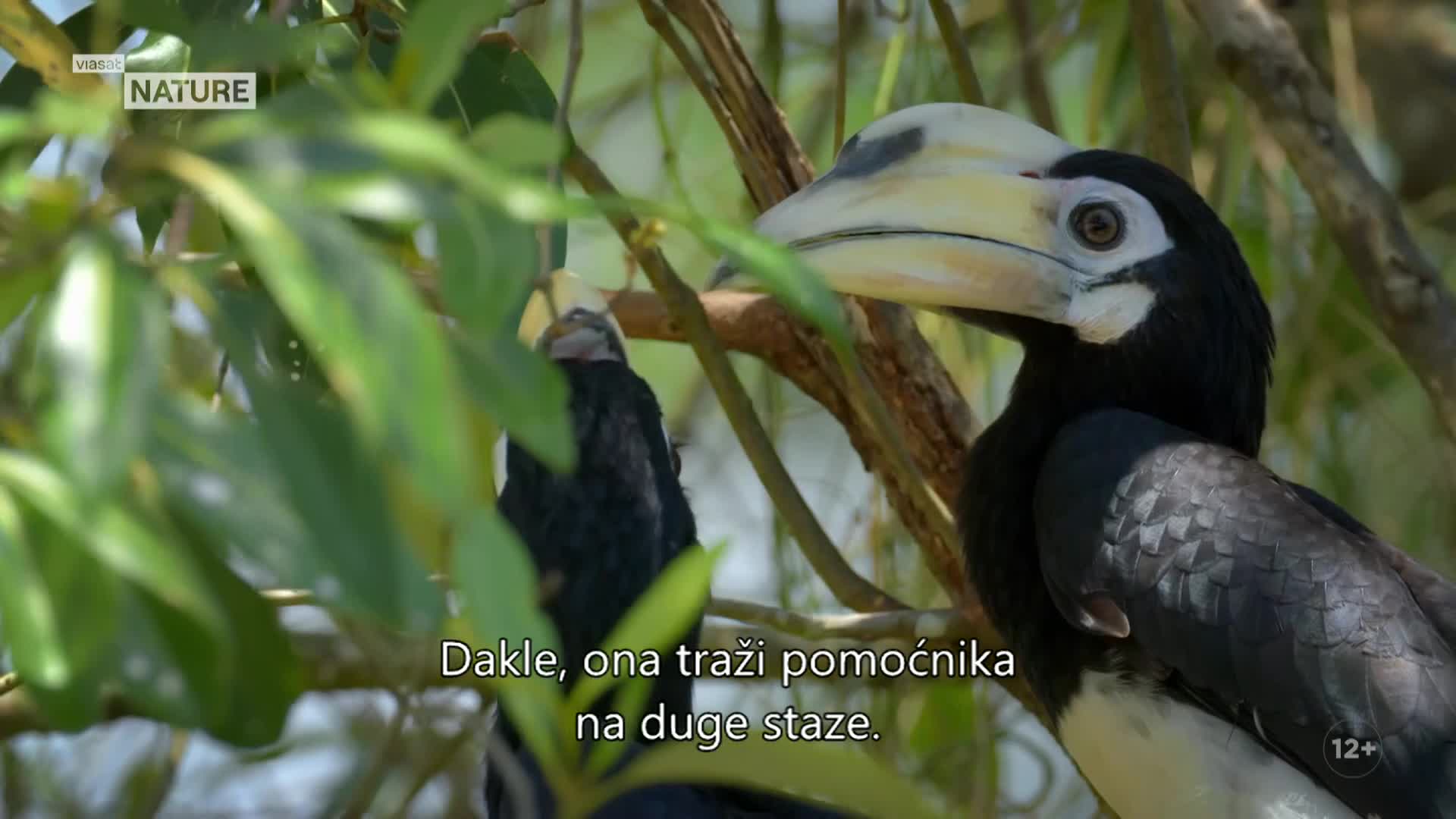 ViasatNature