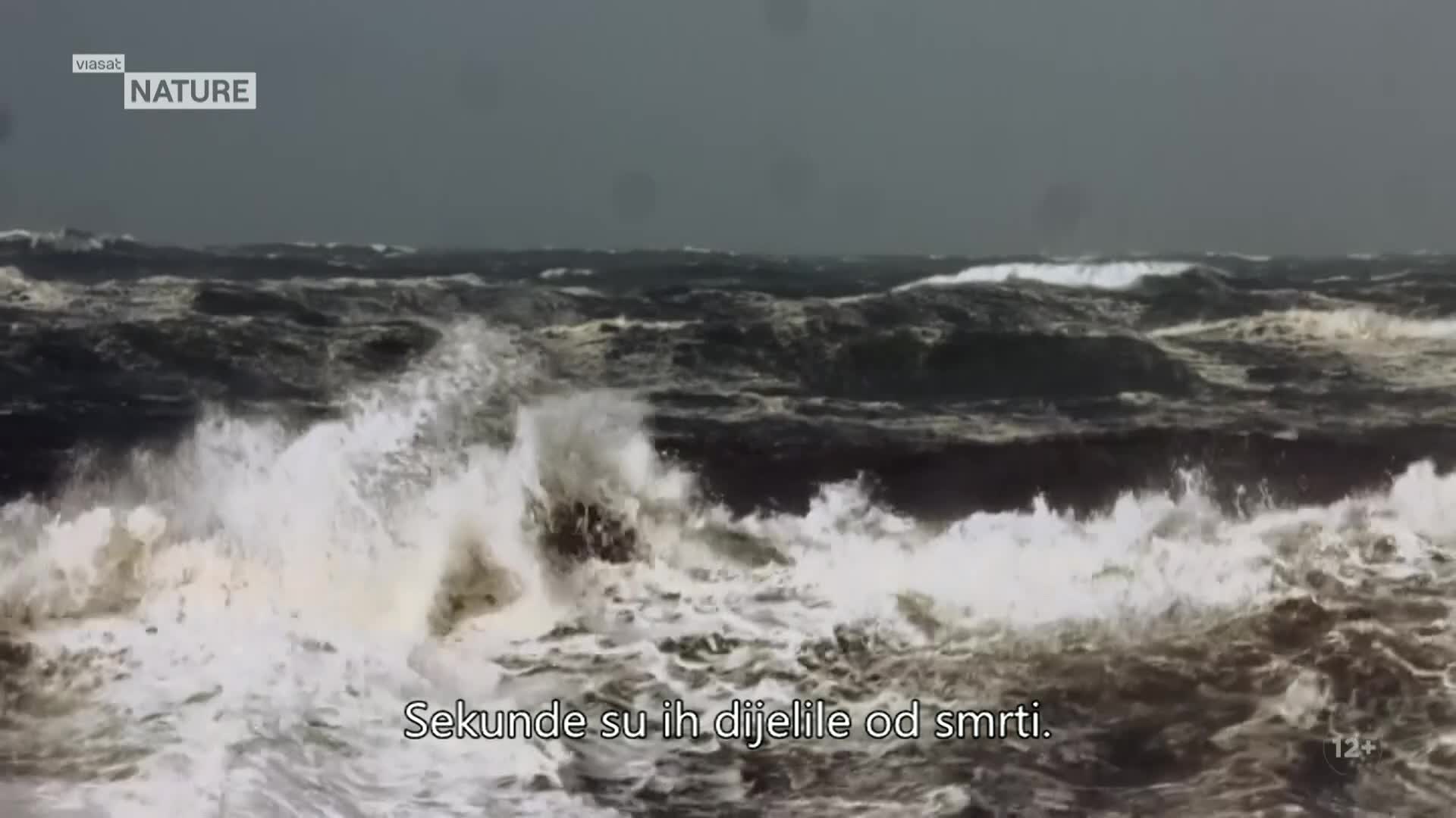 ViasatNature