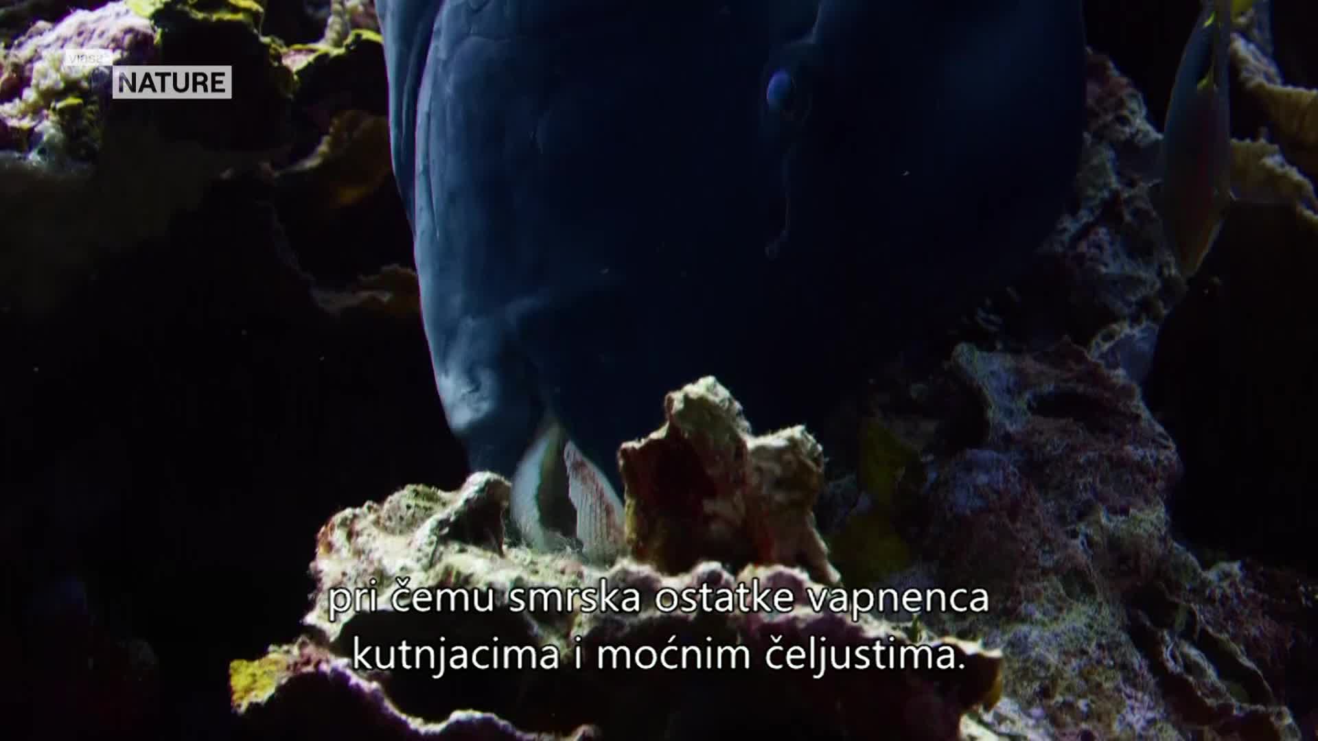 ViasatNature