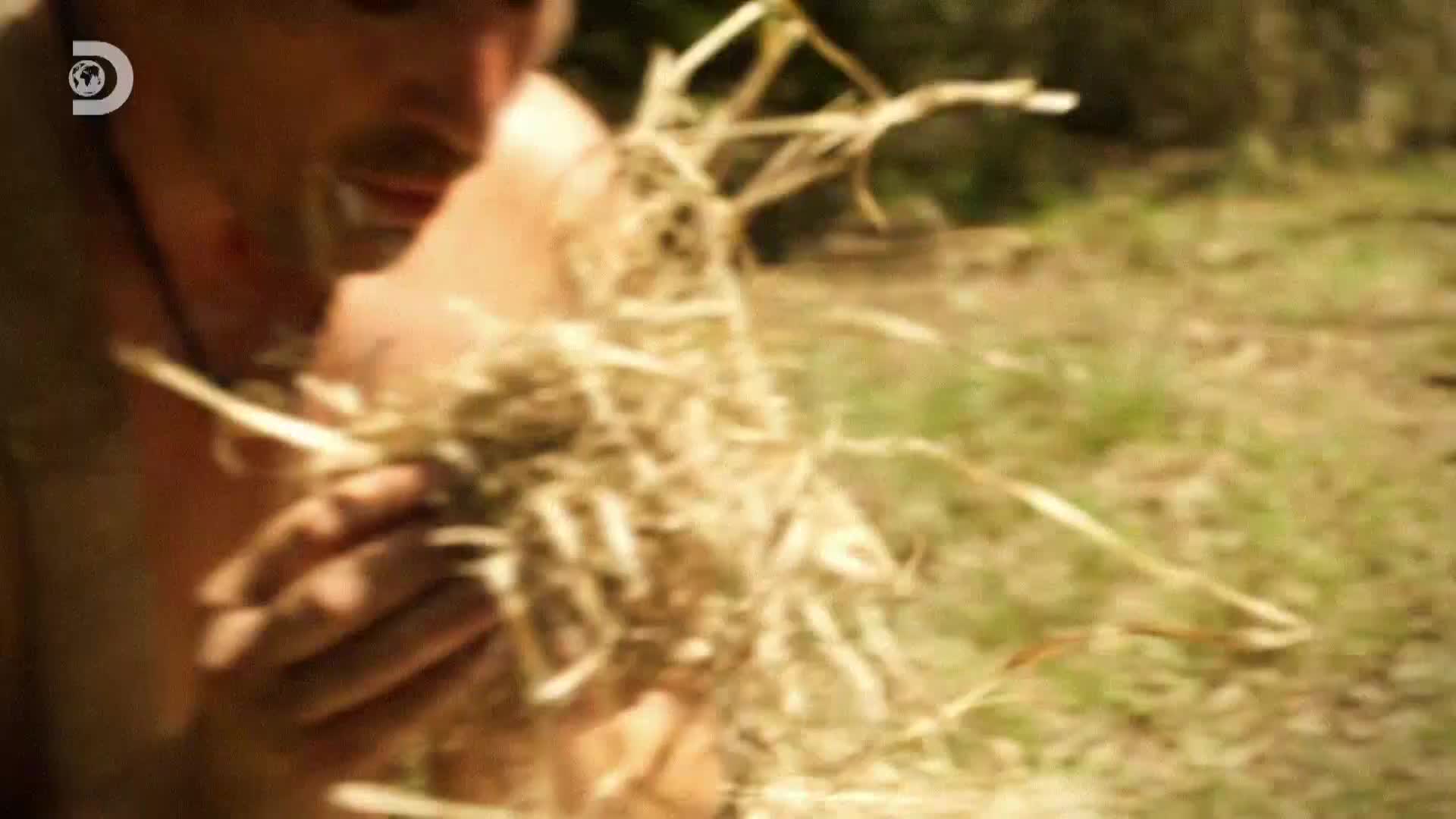 ViasatExplorer