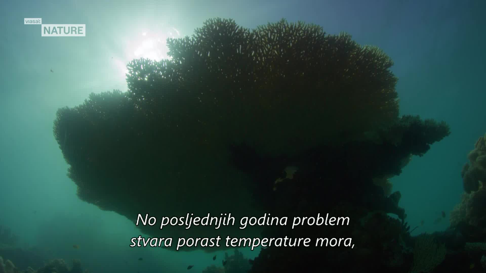ViasatNature