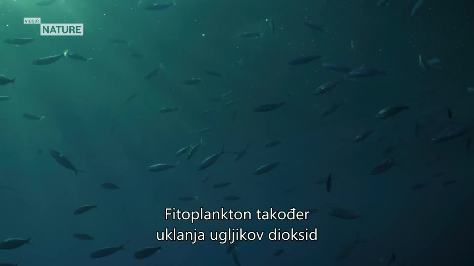 ViasatNature