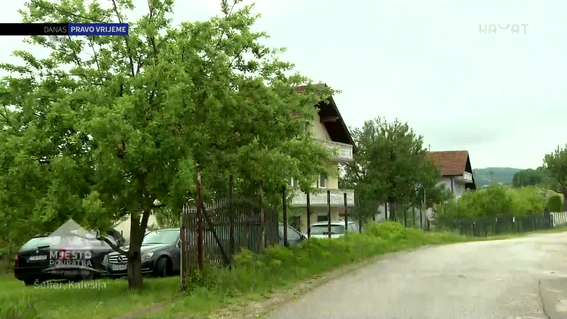 hayat