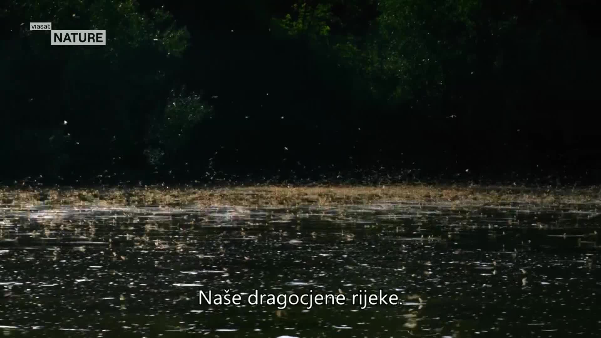 ViasatNature