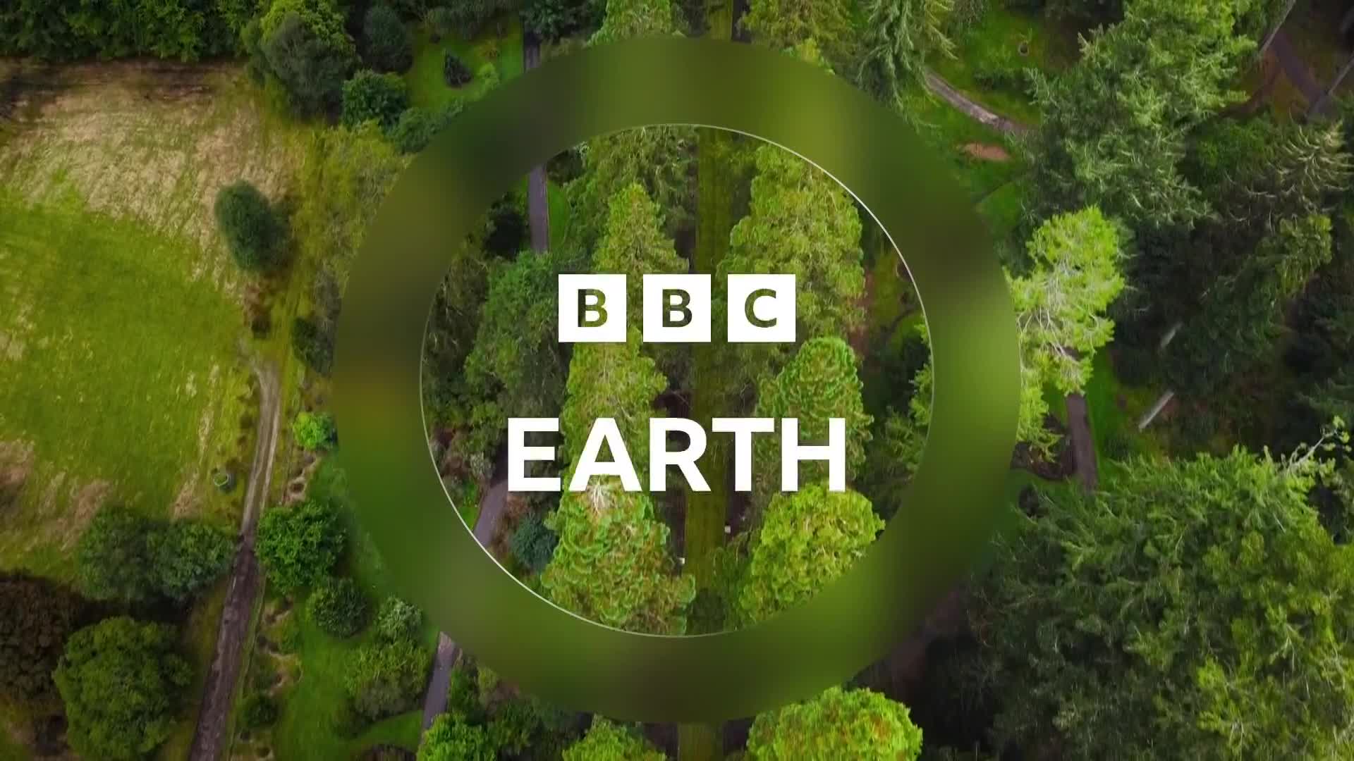 BBCEarth