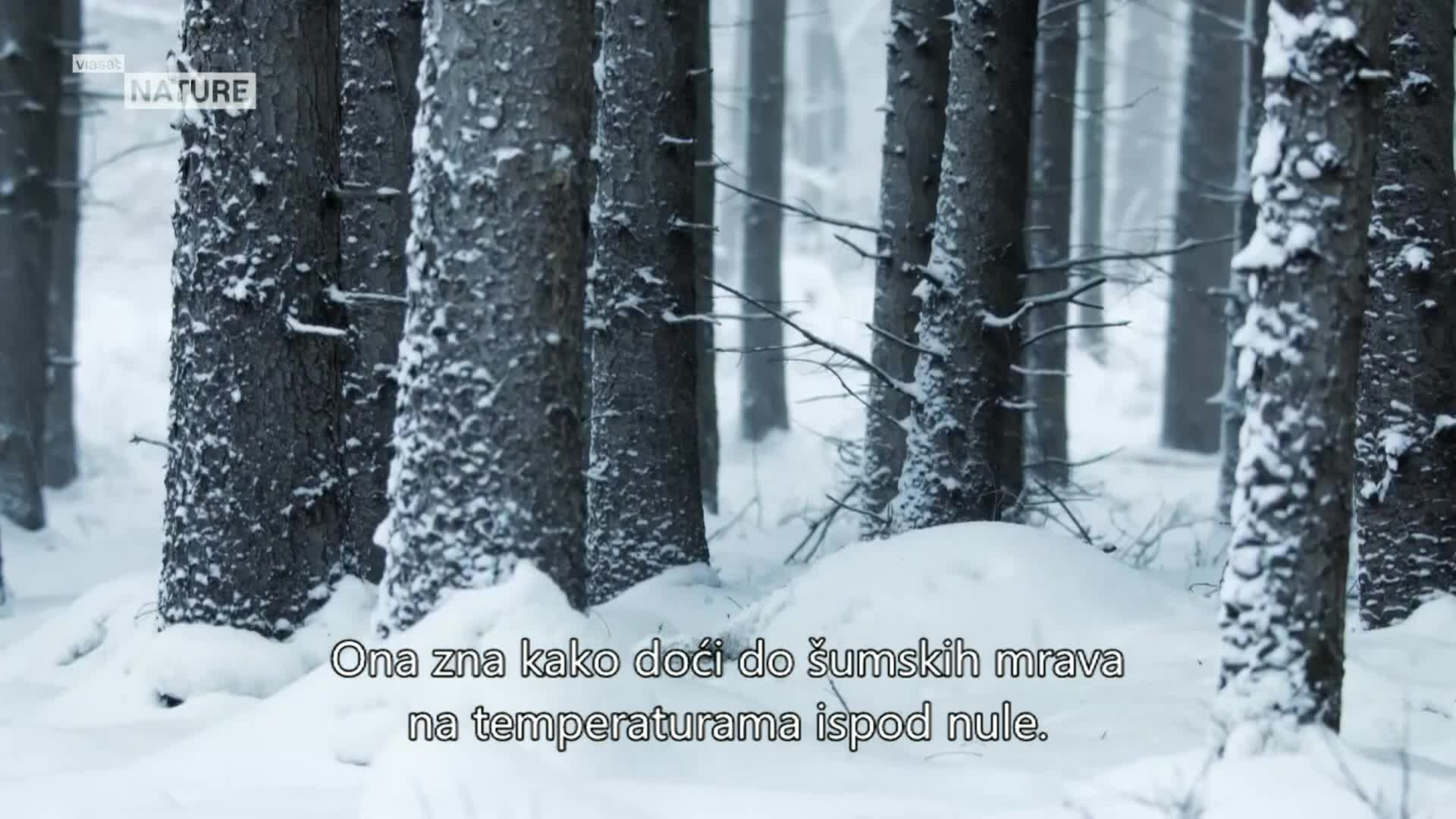 ViasatNature