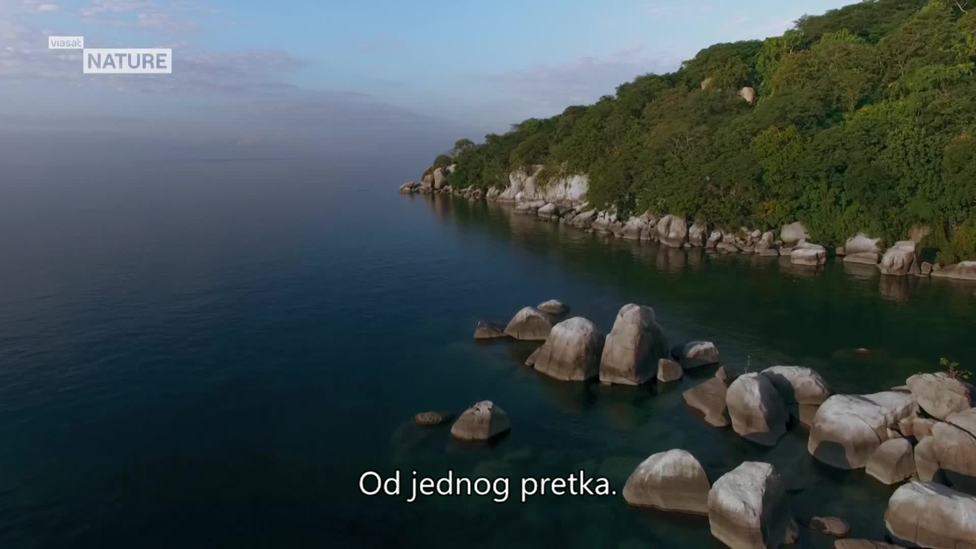 ViasatNature
