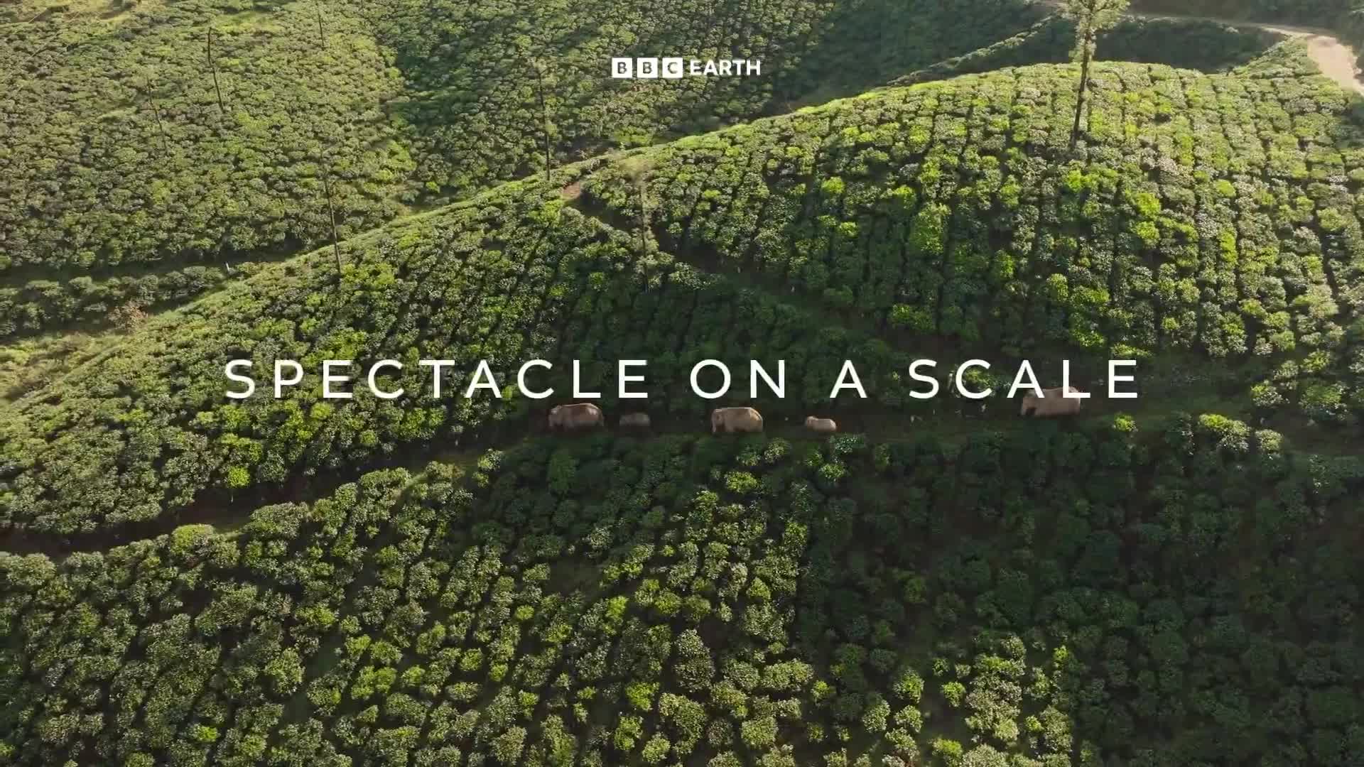 BBCEarth