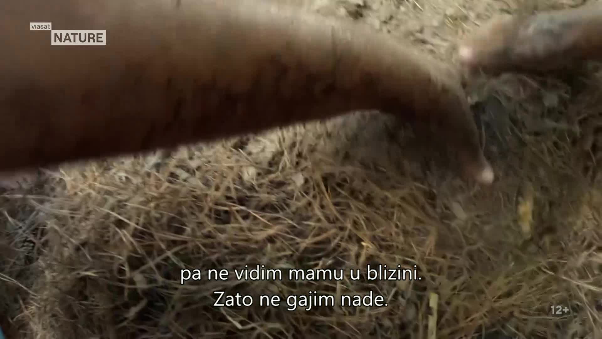 ViasatNature