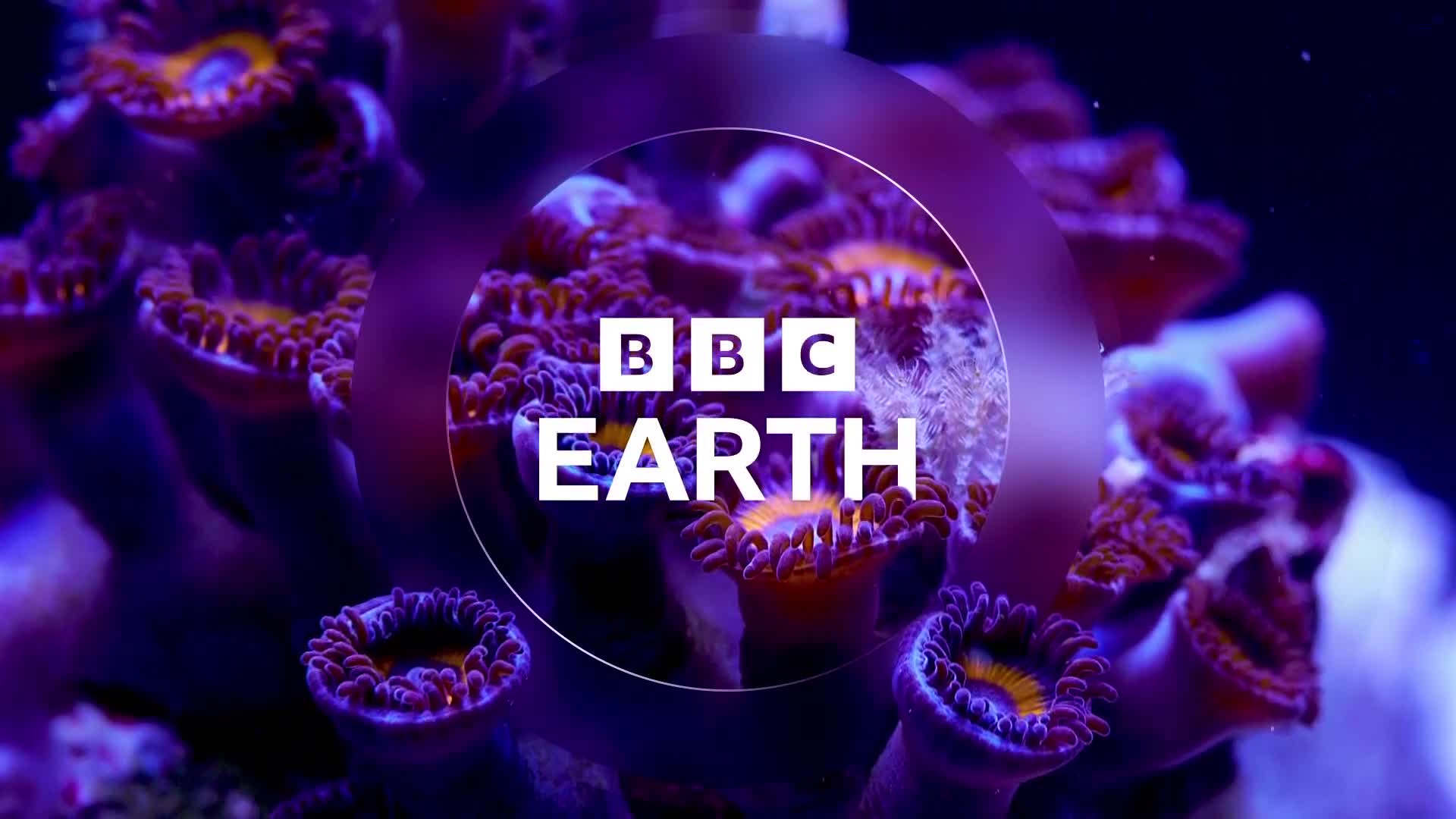 BBCEarth