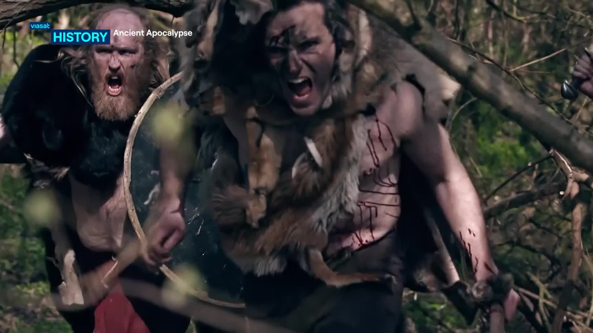 ViasatHistory