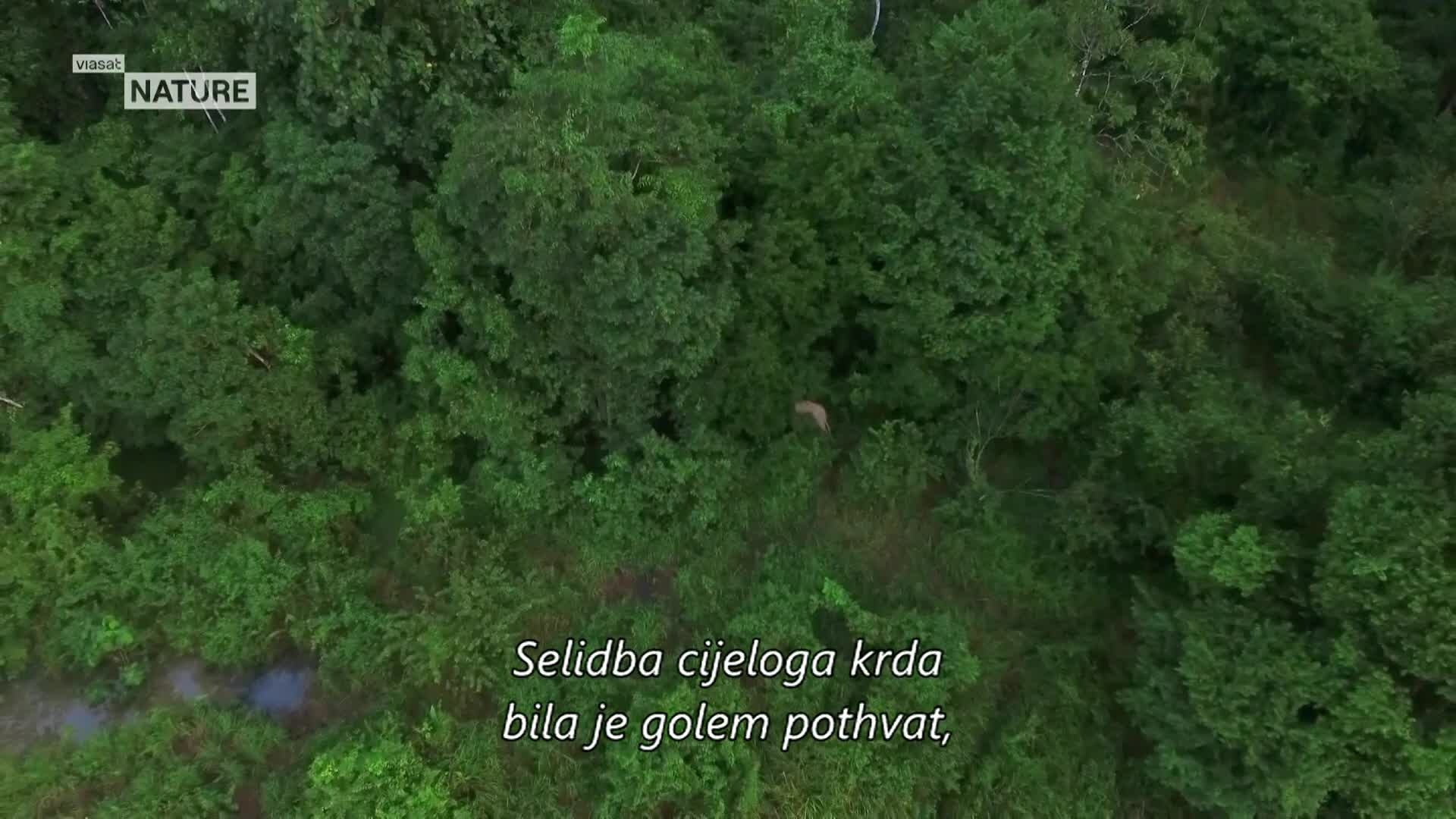 ViasatNature