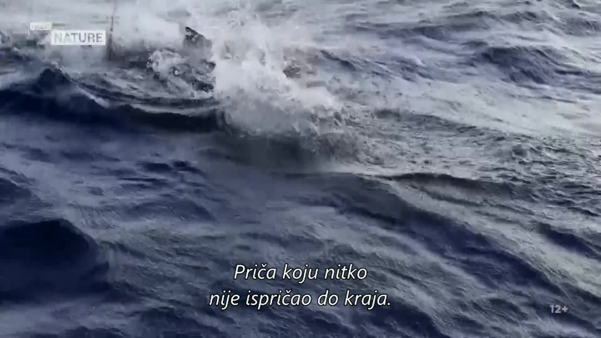 ViasatNature