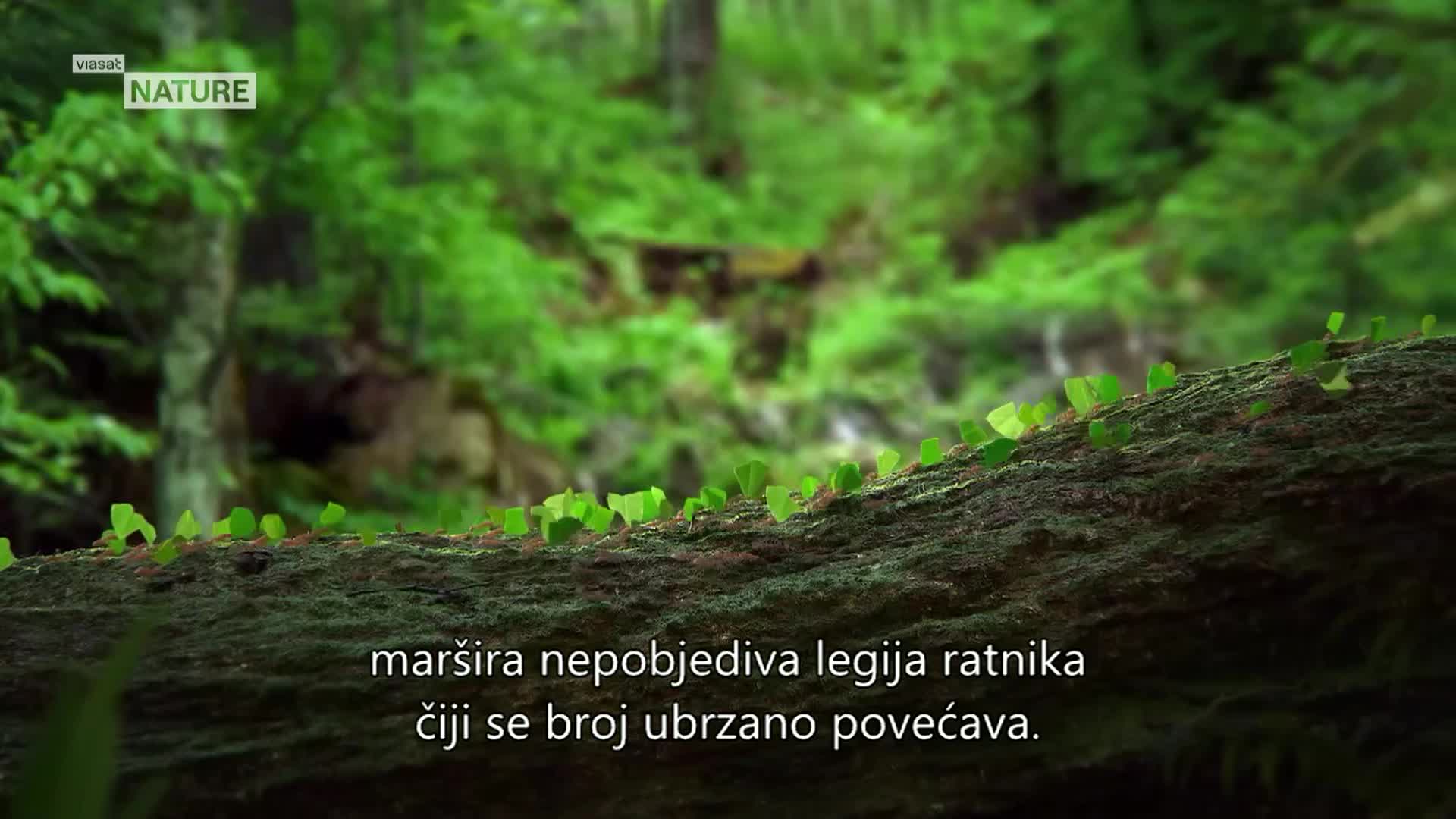 ViasatNature