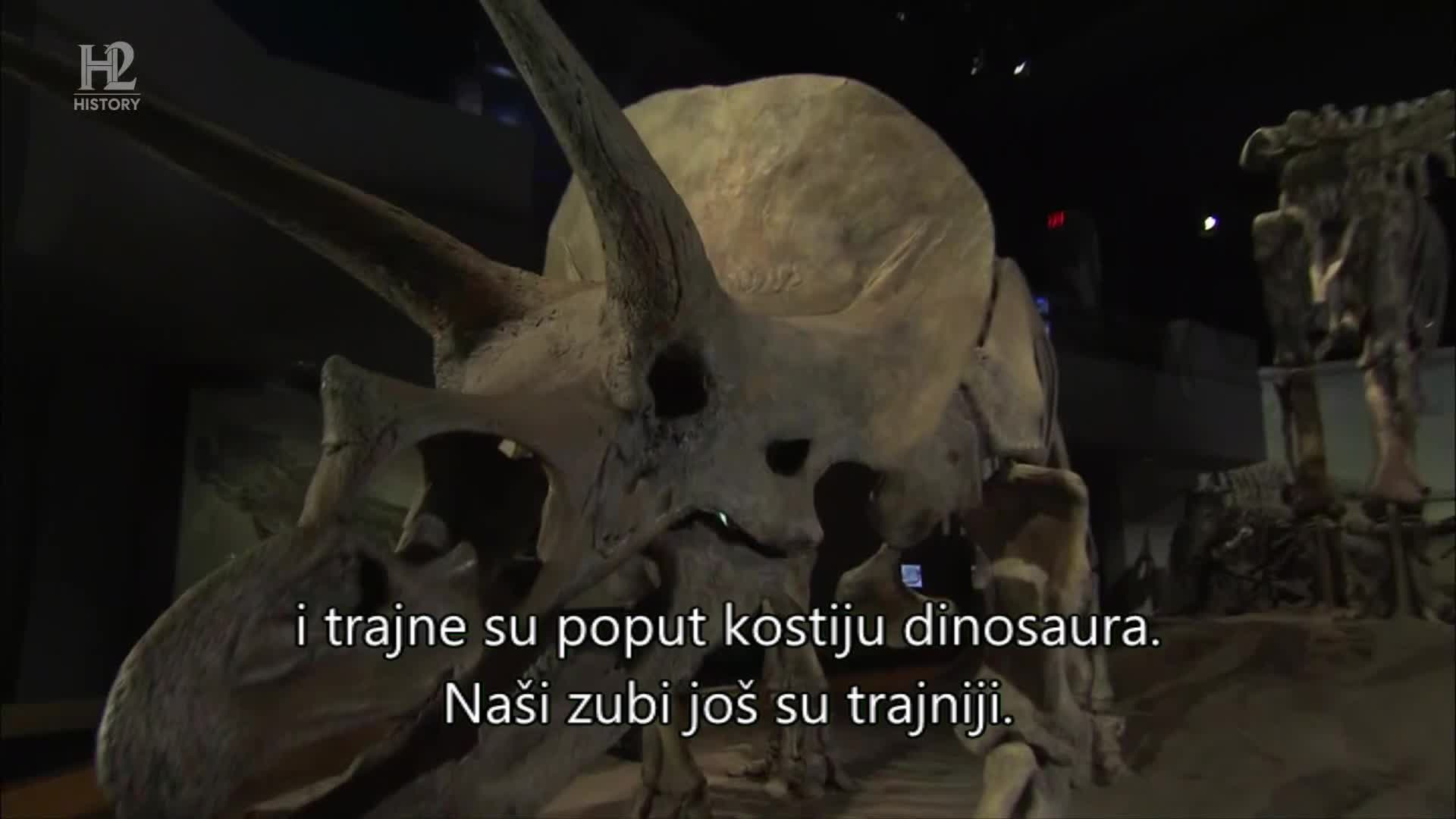 History2