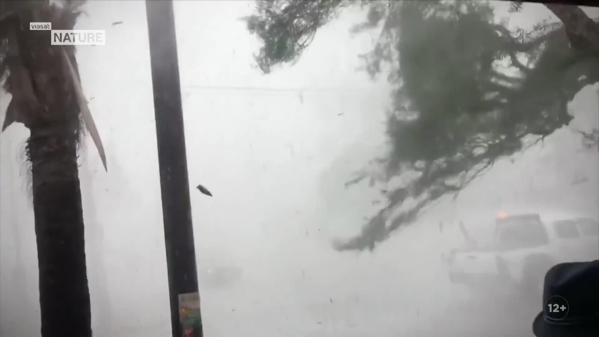 ViasatNature