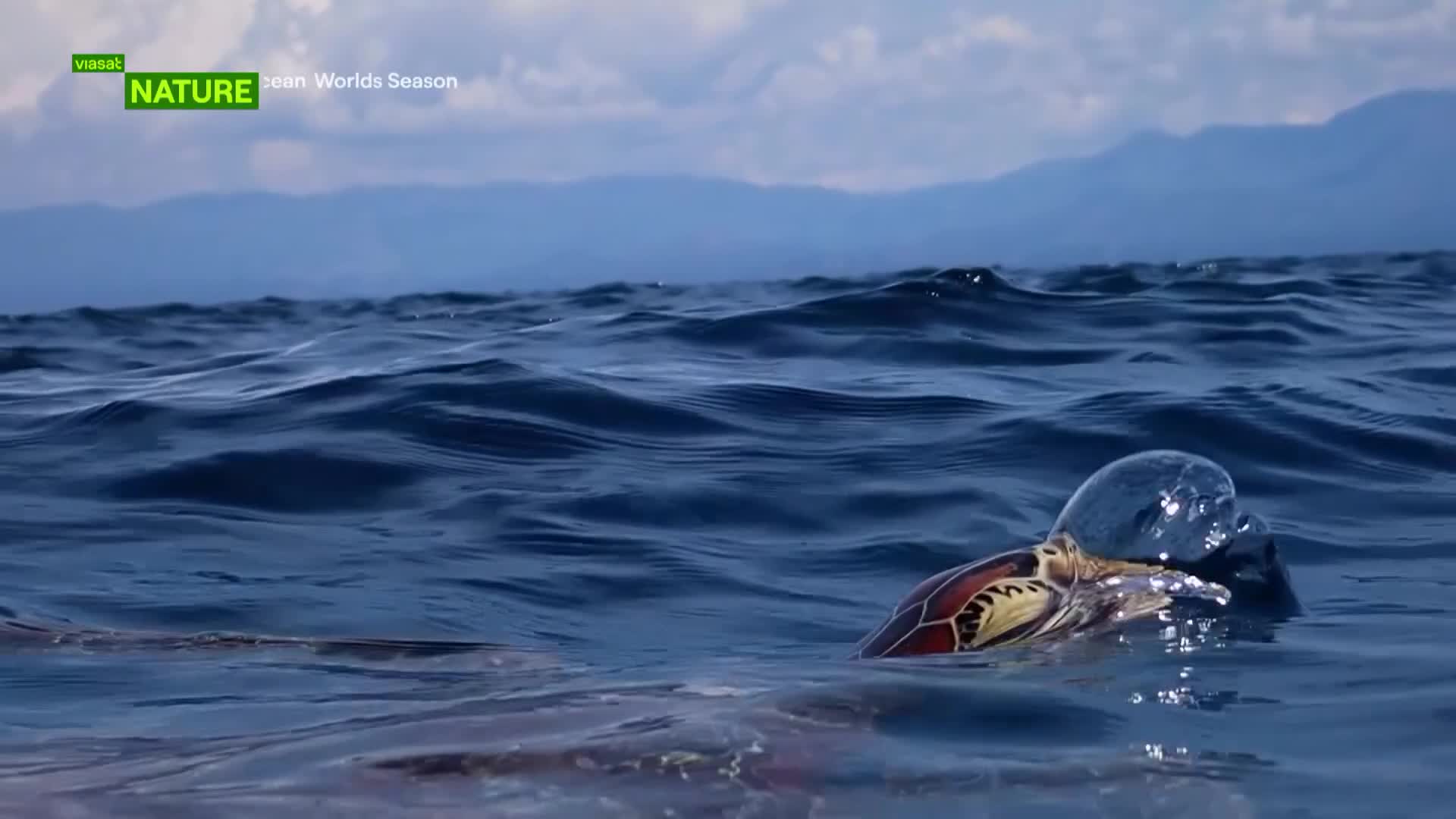 ViasatNature