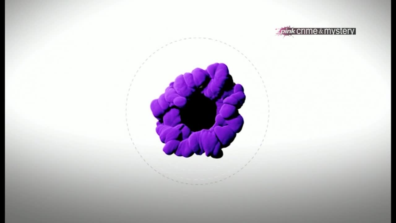 PinkCrimeMystery