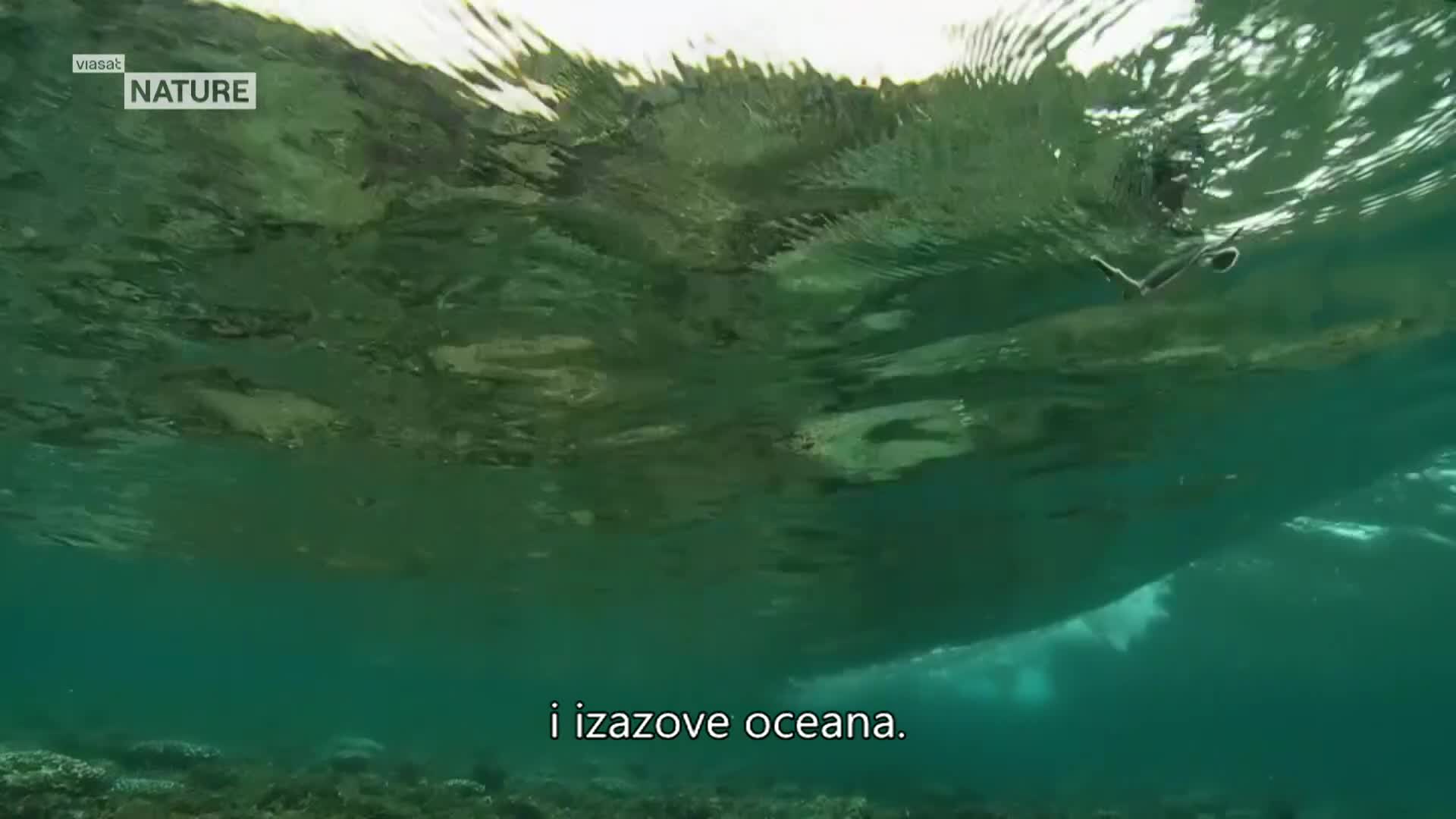 ViasatNature