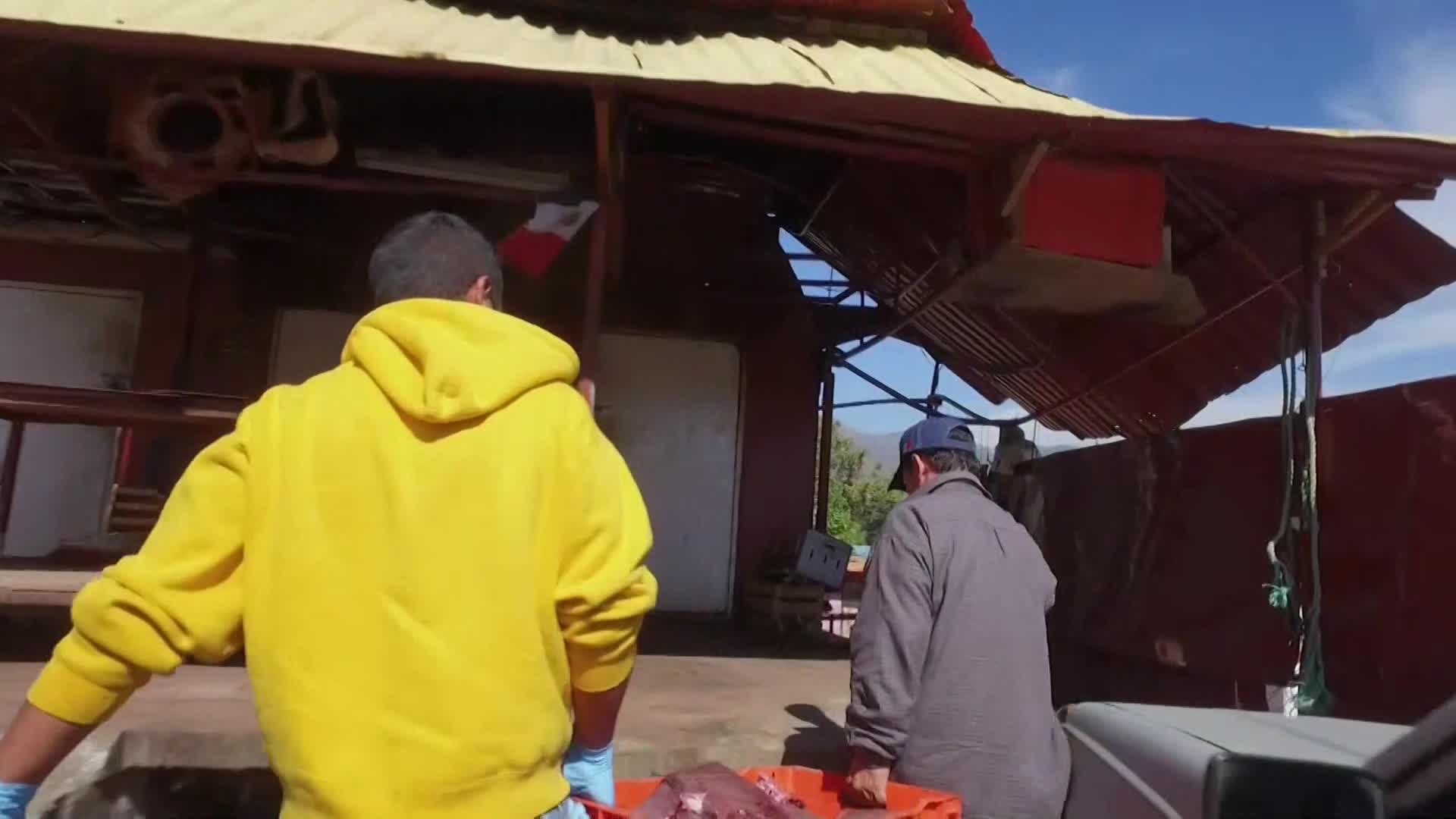 FoodNetwork