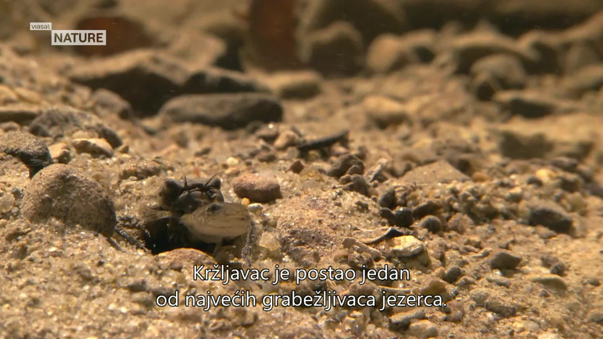 ViasatNature