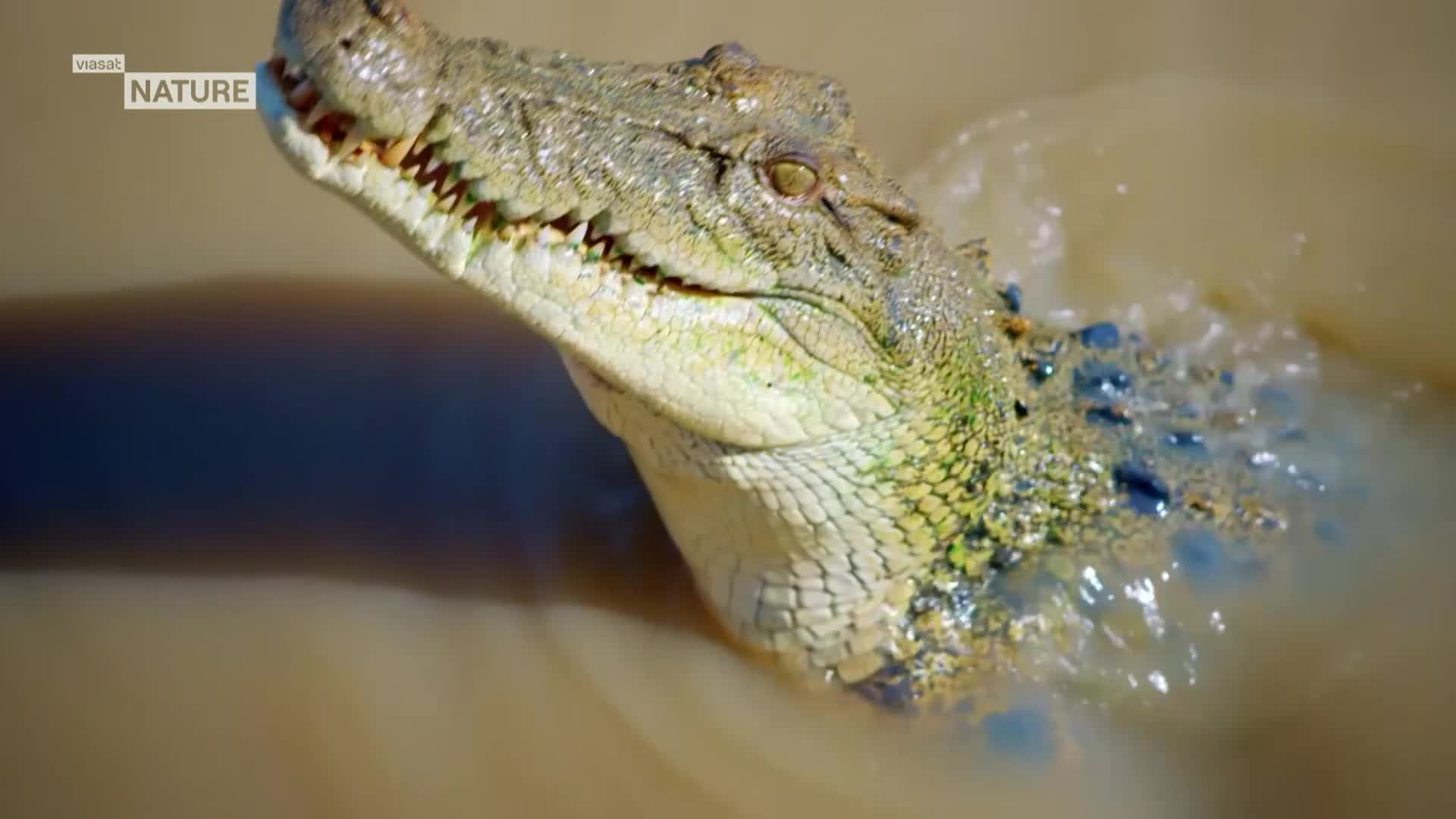 ViasatNature