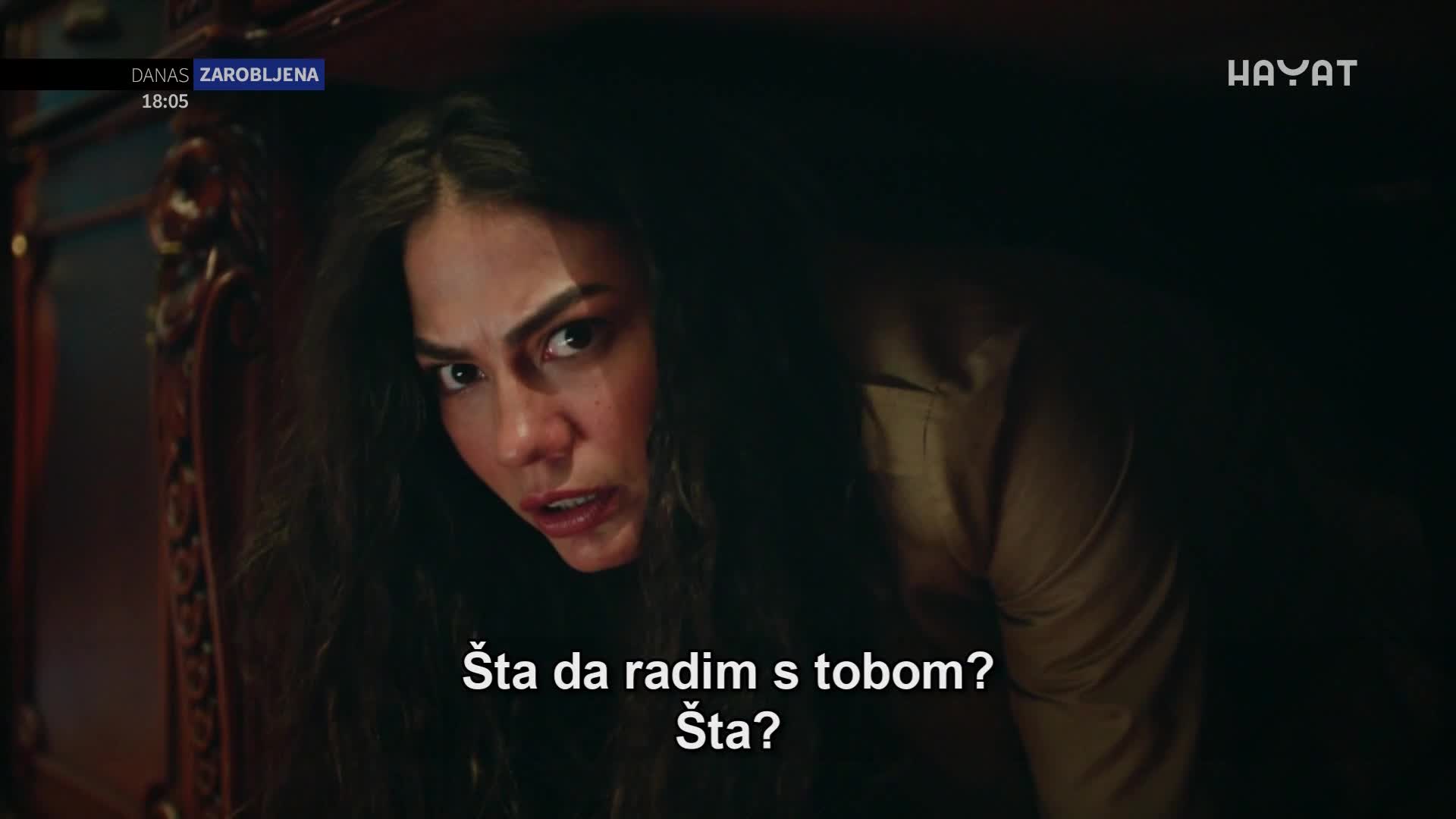 hayat