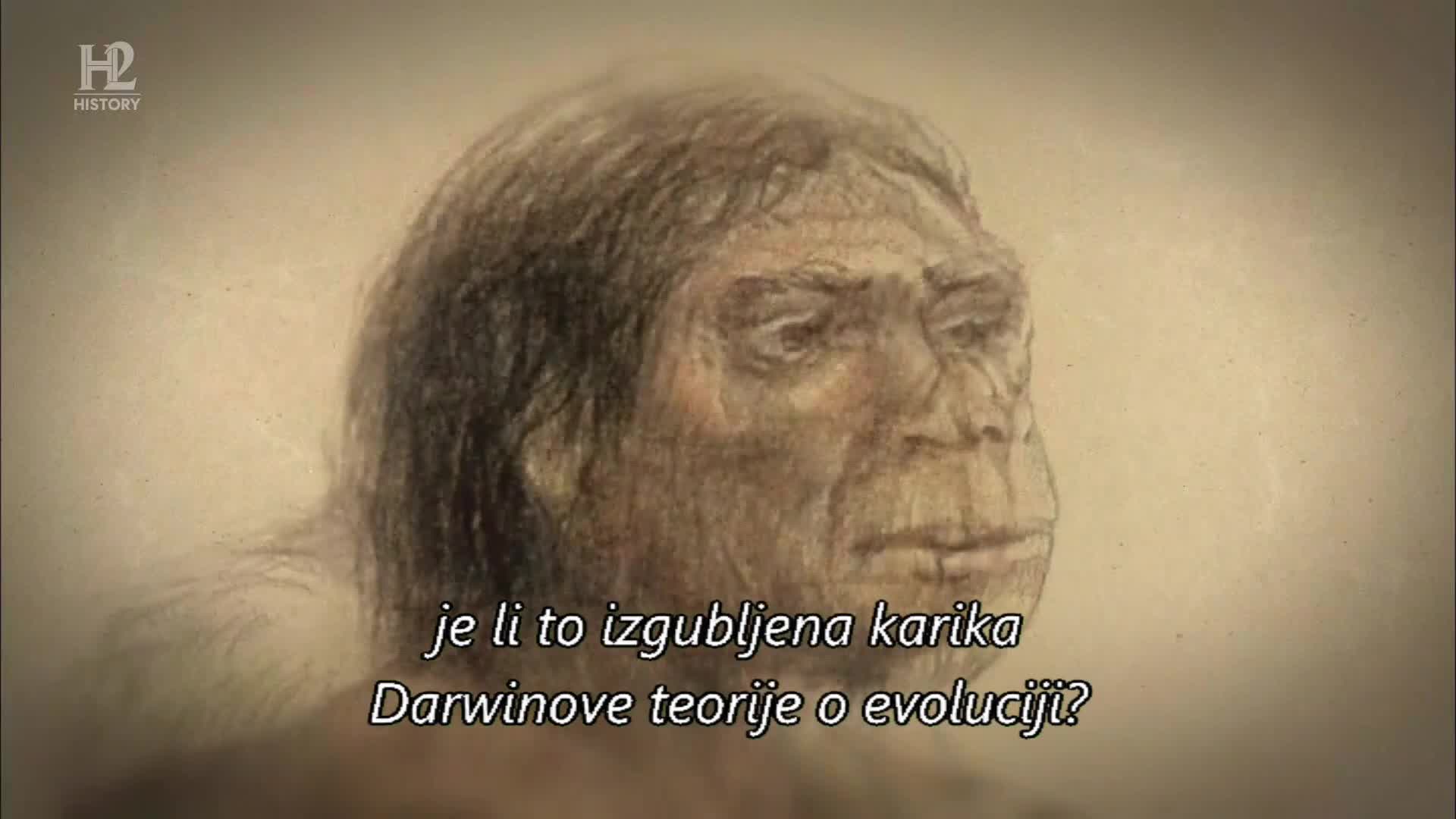 History2