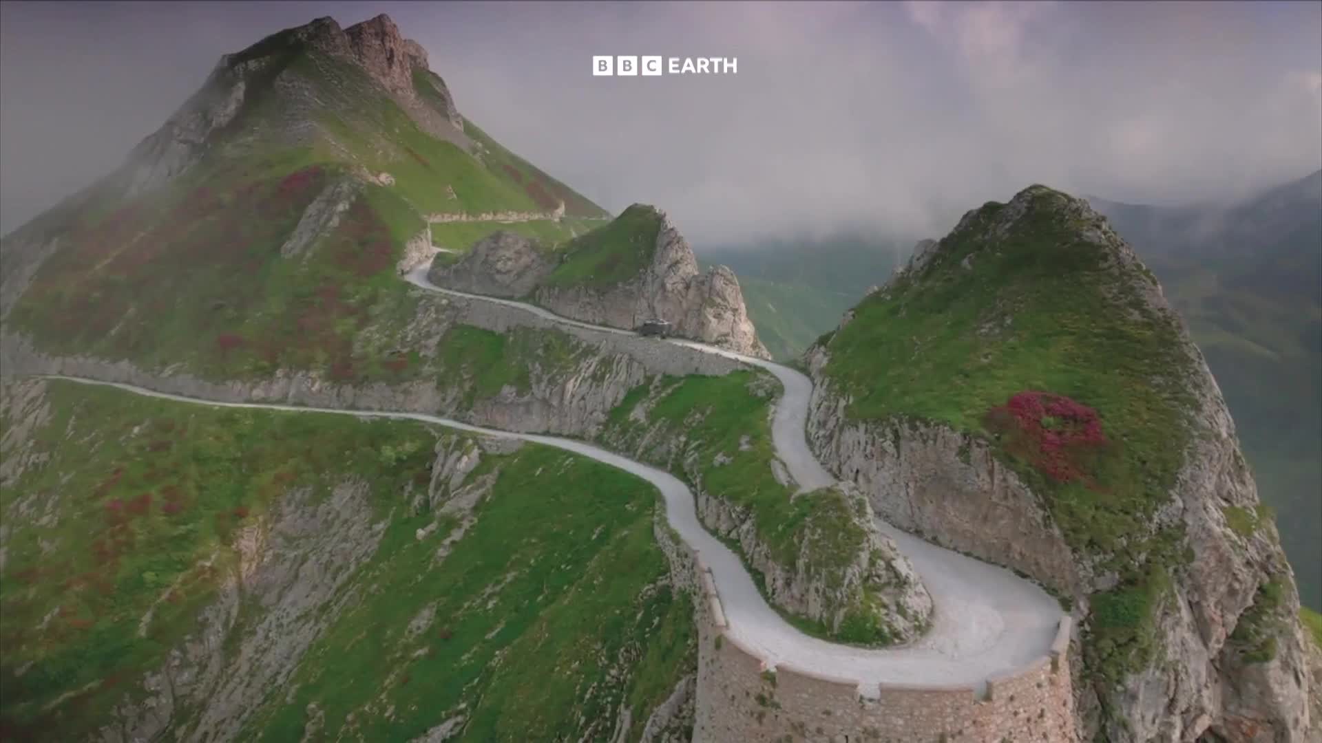 BBCEarth