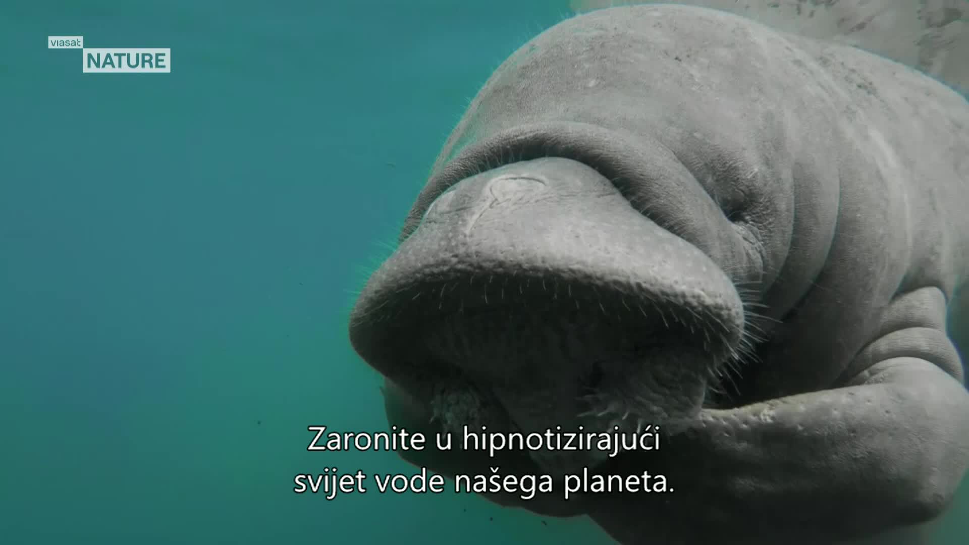 ViasatNature